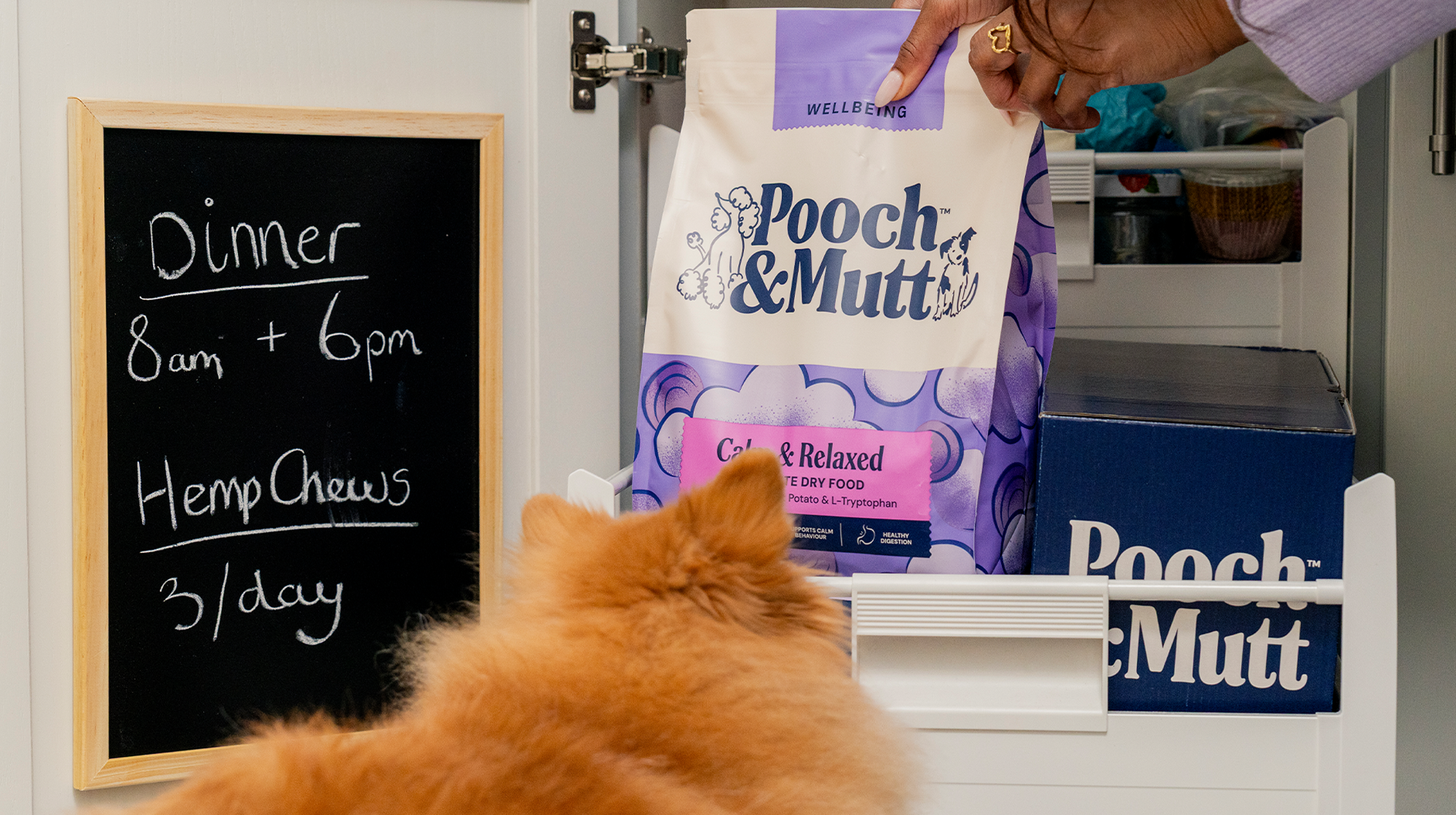 A fluffy dog watching their owner take a bag of Pooch & Mutt's Calm & Relaxed Dry Food from the cupboard, with a black board next to it that states what time dinner is, and to take Hemp Chews three times a day.