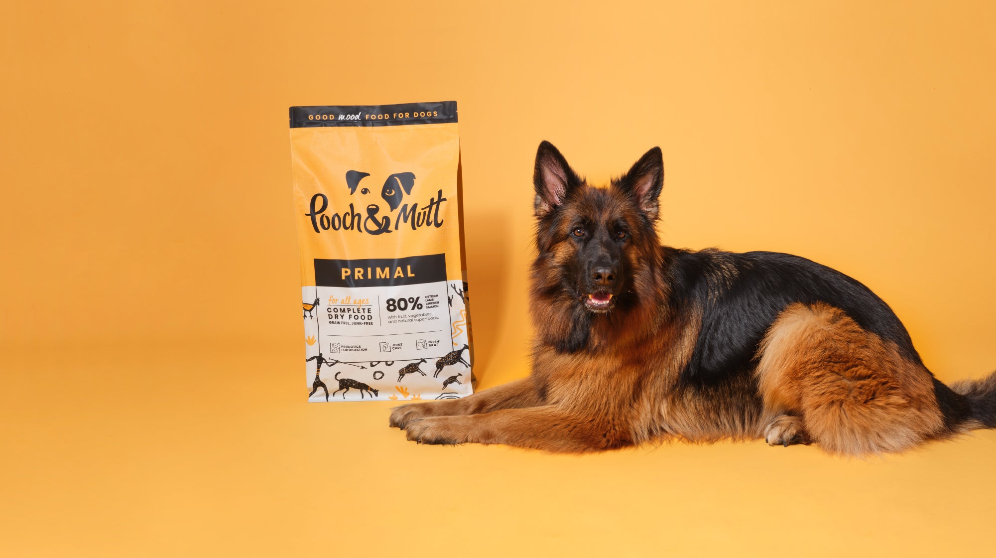 german shepherd dog lying down next do primal dog food