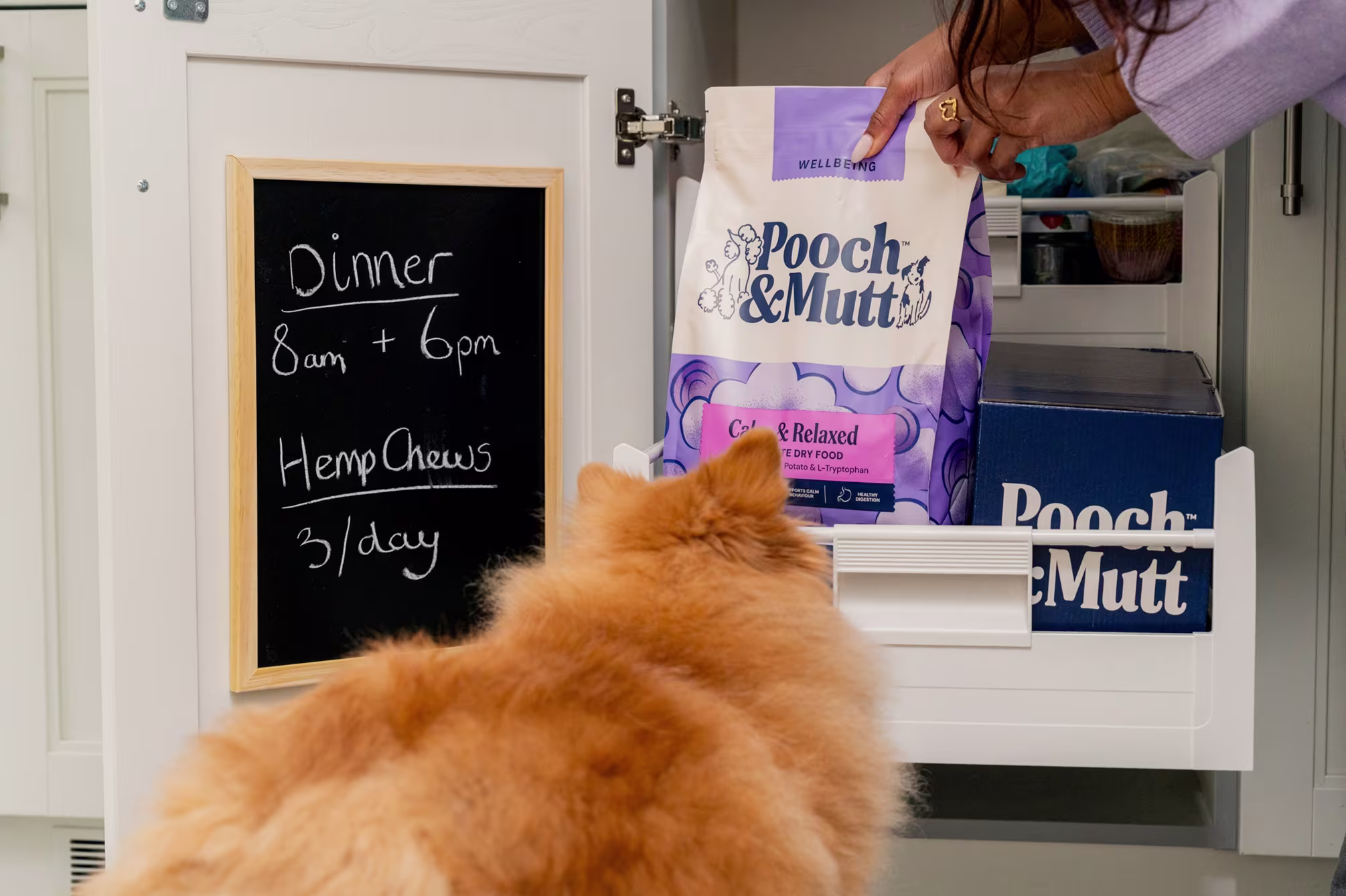 Dog Food Menu collection banner