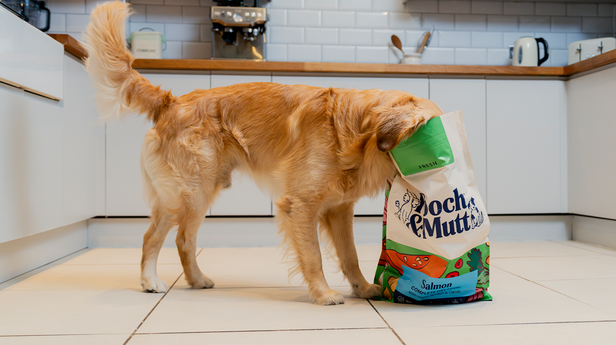 A Golden Retriever in a kitchen with their head in a bag of Pooch & Mutt's Fresh Salmon Dry Food.