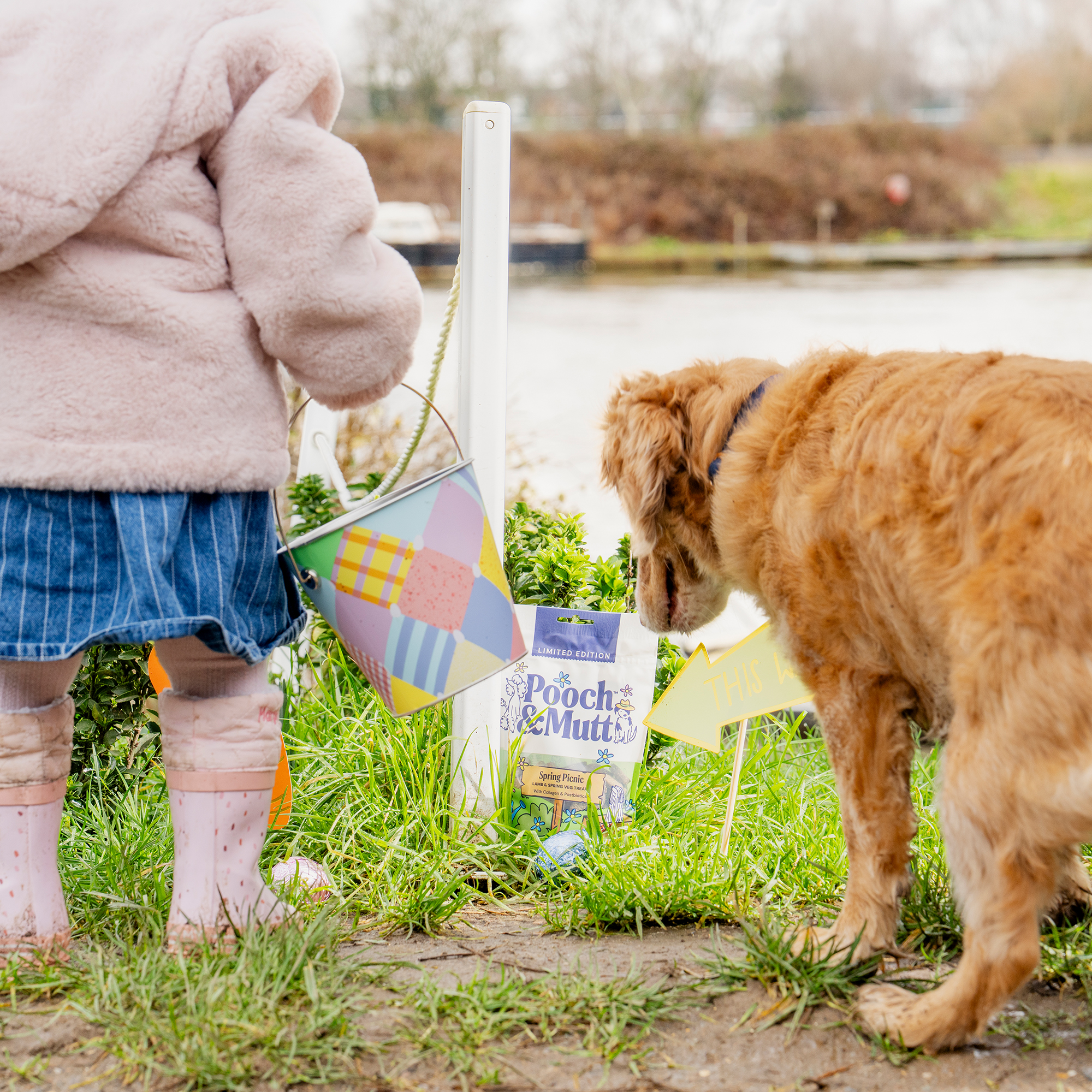 P&M_DOG_LIFESTYLE_1_LIMITED EDITION_SPRING PICNIC_MEATY TREATS.jpg