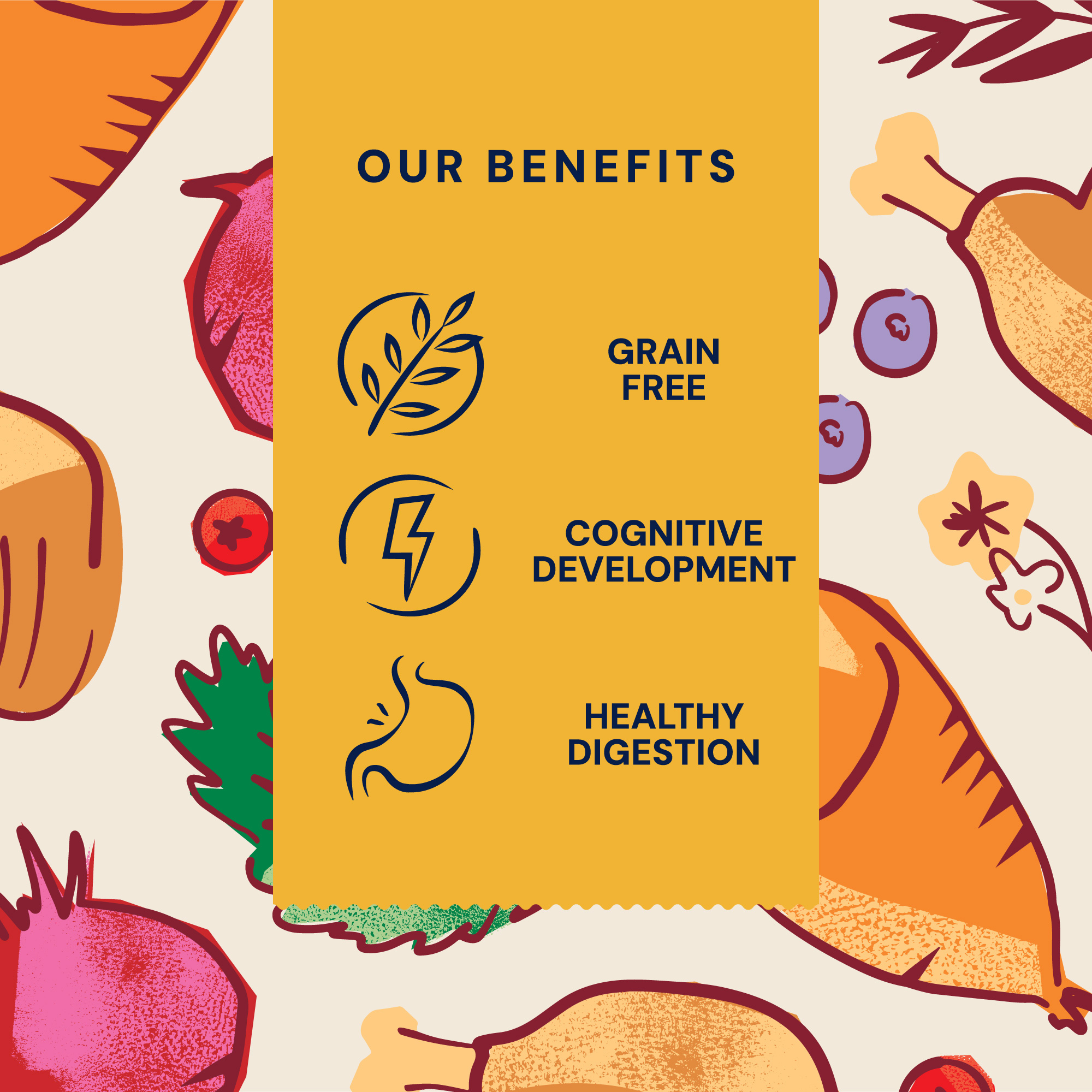 P&M BENEFIT-CARD DRY-FOOD SUPERFOODS PUPPY