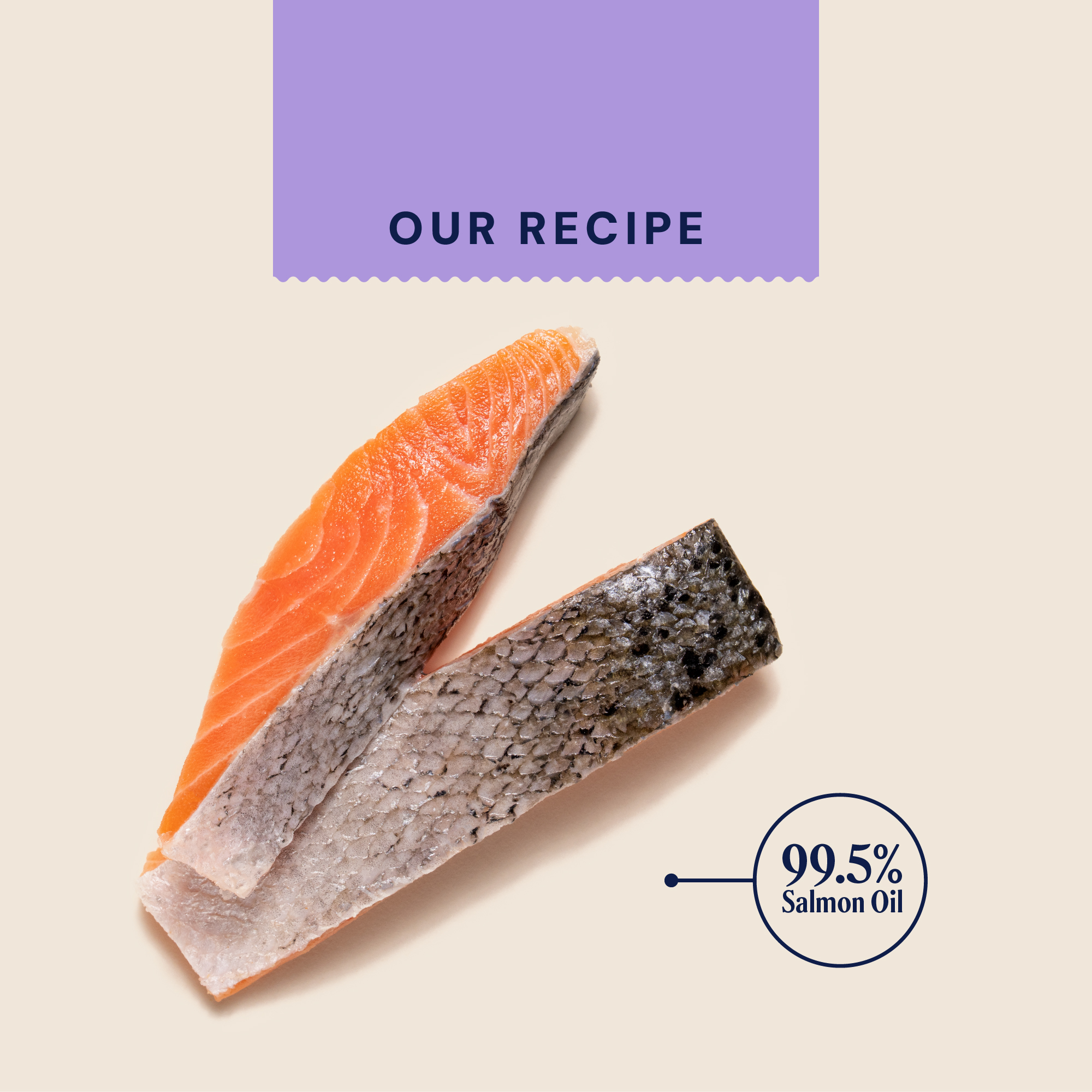 P&M INGREDIENT IMAGE SUPPLEMENTS WELLBEING SALMON OIL