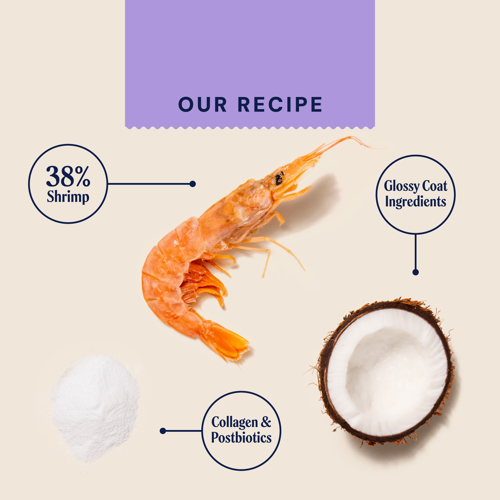 P&M INGREDIENT IMAGE WELLBEING SKIN & COAT MEATY TREATS