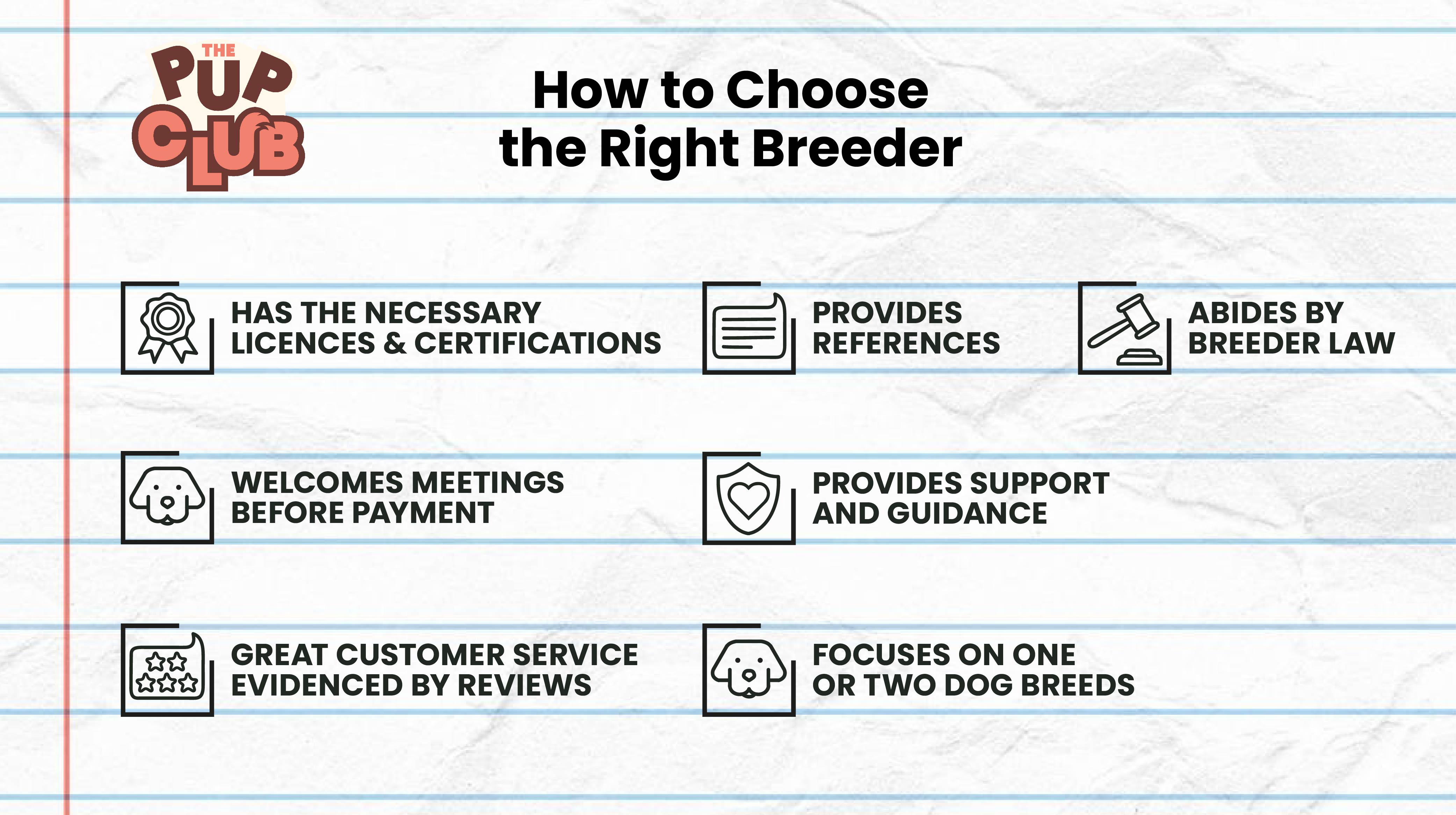 Choosing your puppy: How to find a reputable breeder-Image 1