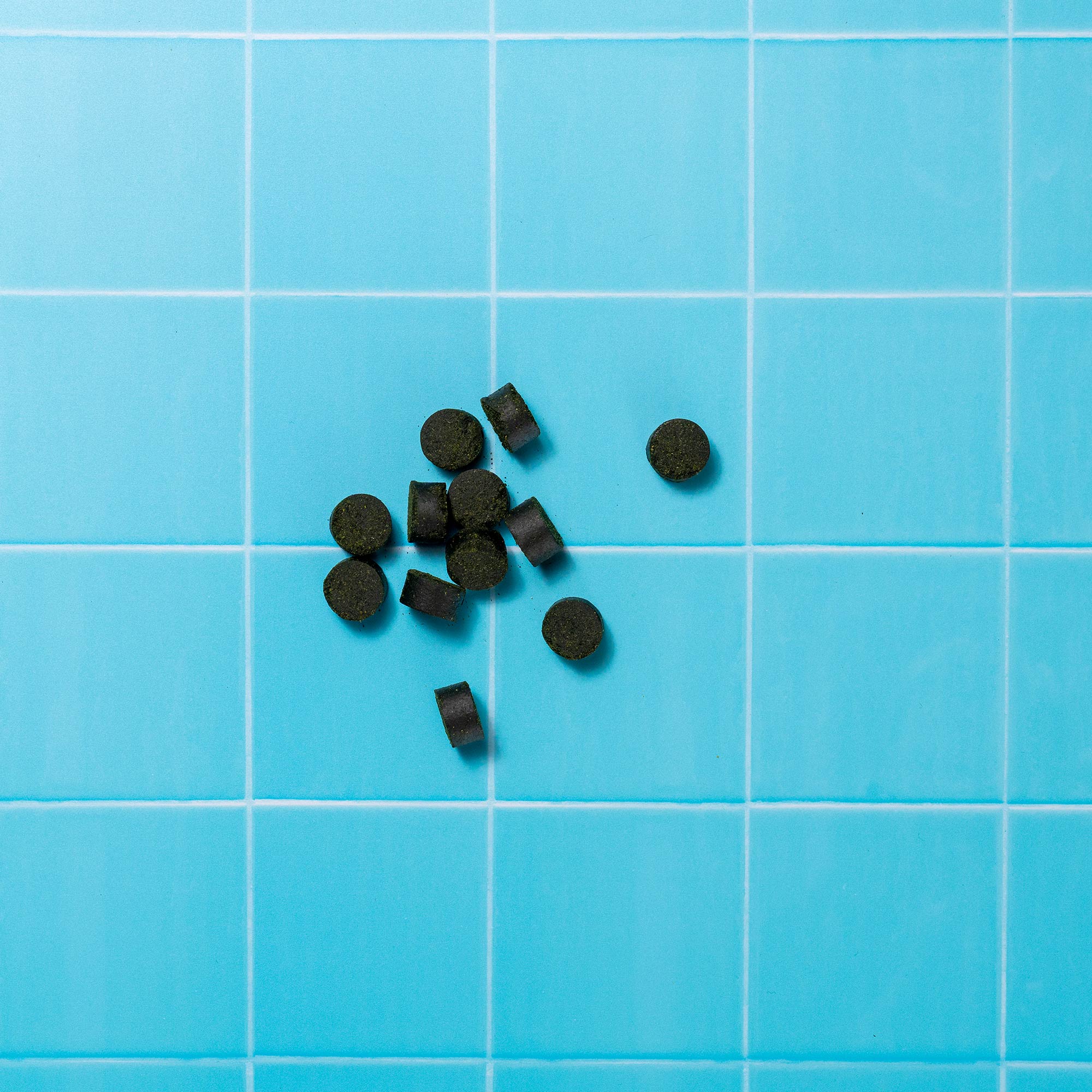 GD VETERINARY P&M REBRAND