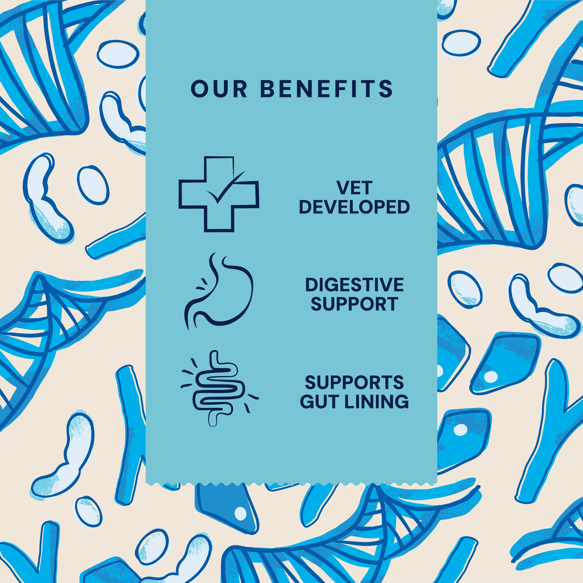 P&M BENEFIT-CARD SUPPLEMENTS VET GUT-DETOXIFIER