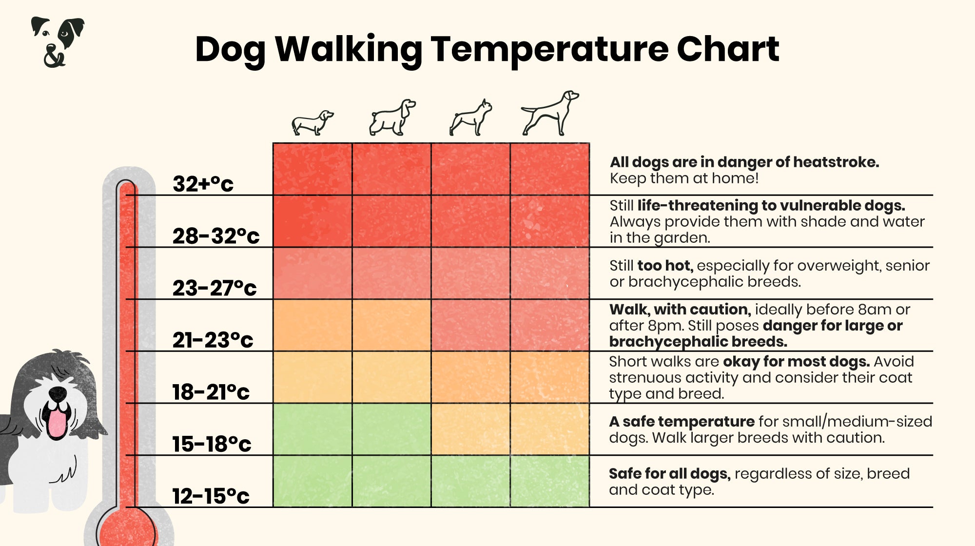 When is it too hot to walk your dog?-Image 1