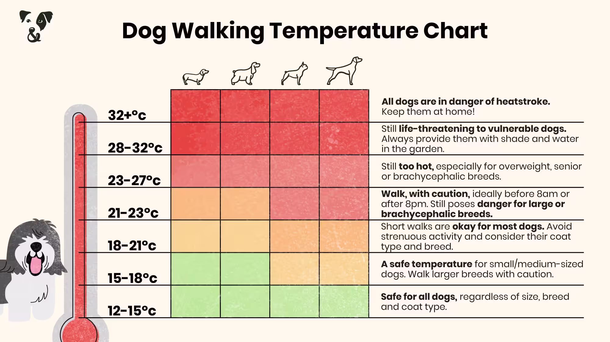 When is it too hot to walk your dog?-Image 1