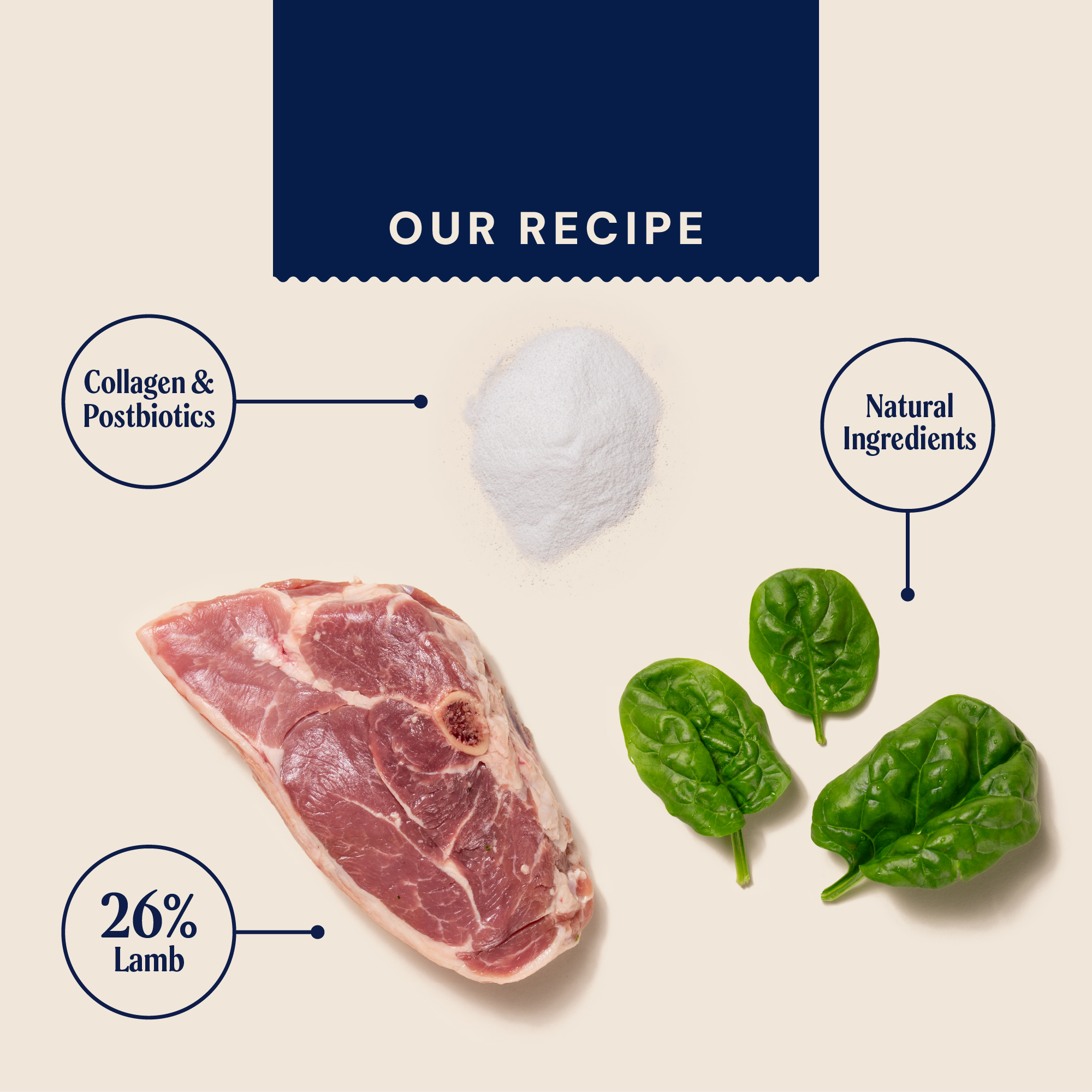 P&M_INGREDIENT IMAGE_LIMITED EDITION_SPRING PICNIC_MEATY TREATS.jpg