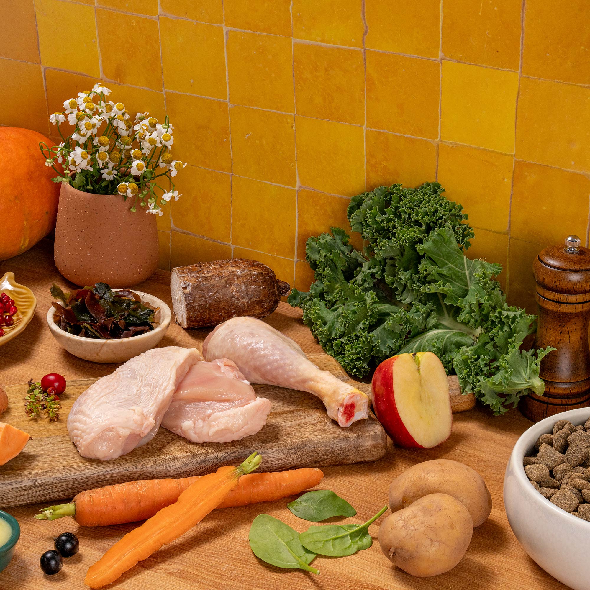 SUPERFOOD SENIOR ADULT DRY