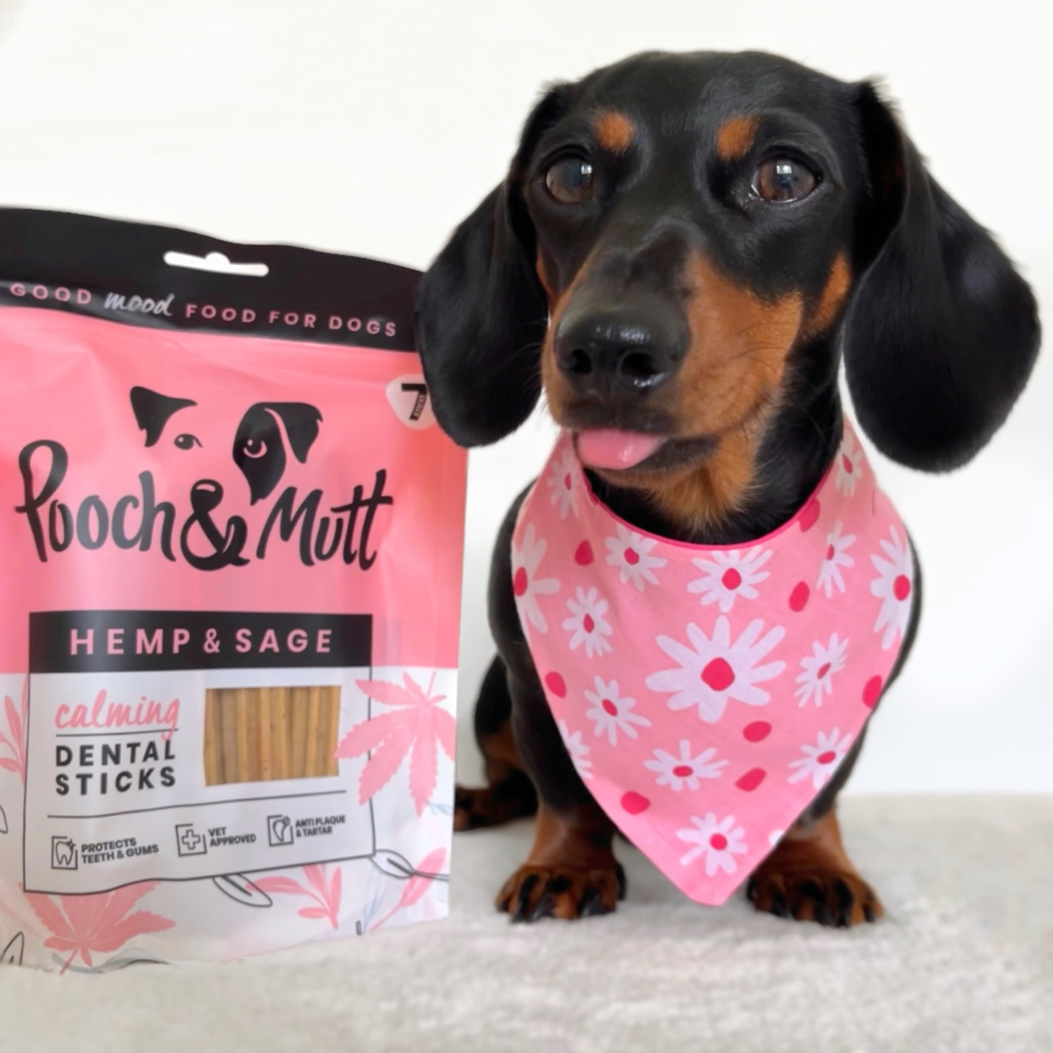 Facetune 26-08-2024-18-30-19 - Luna Pearl