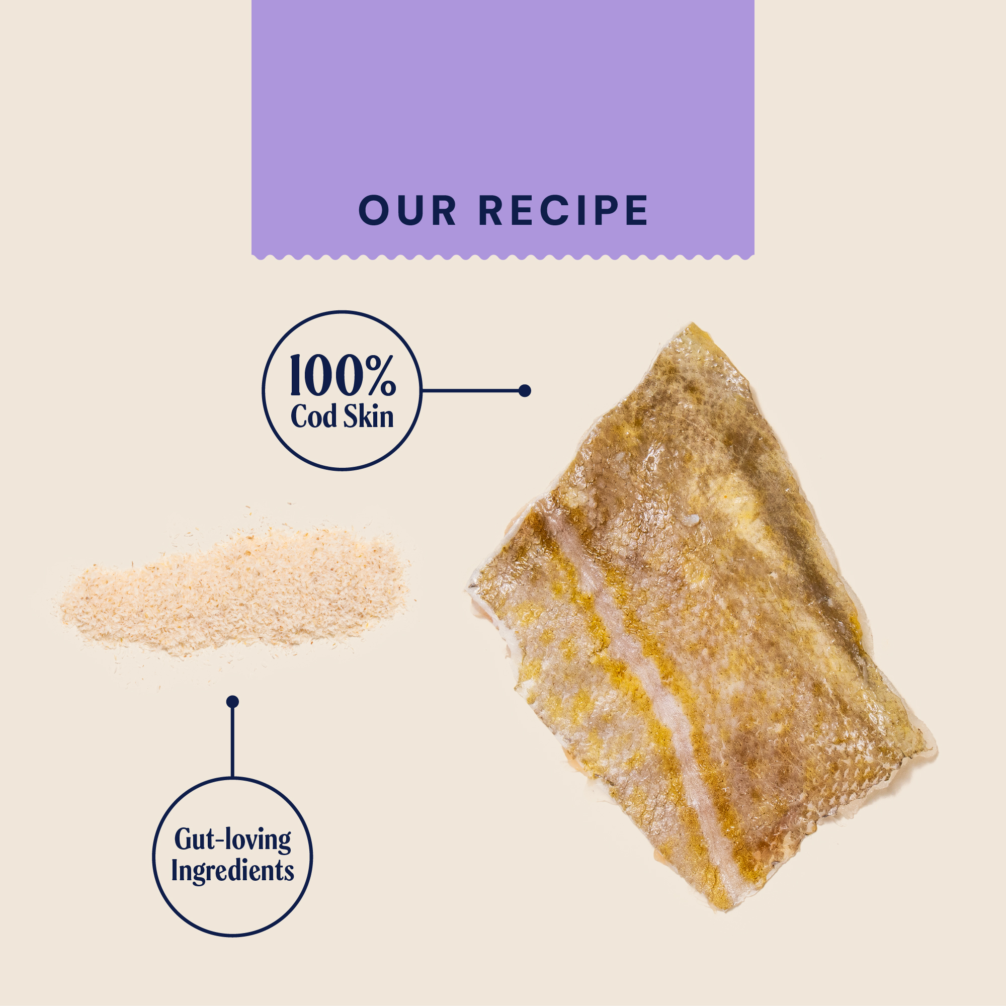 P&M INGREDIENT IMAGE WELLBEING FISH CHEW HEALTH & DIGESTION