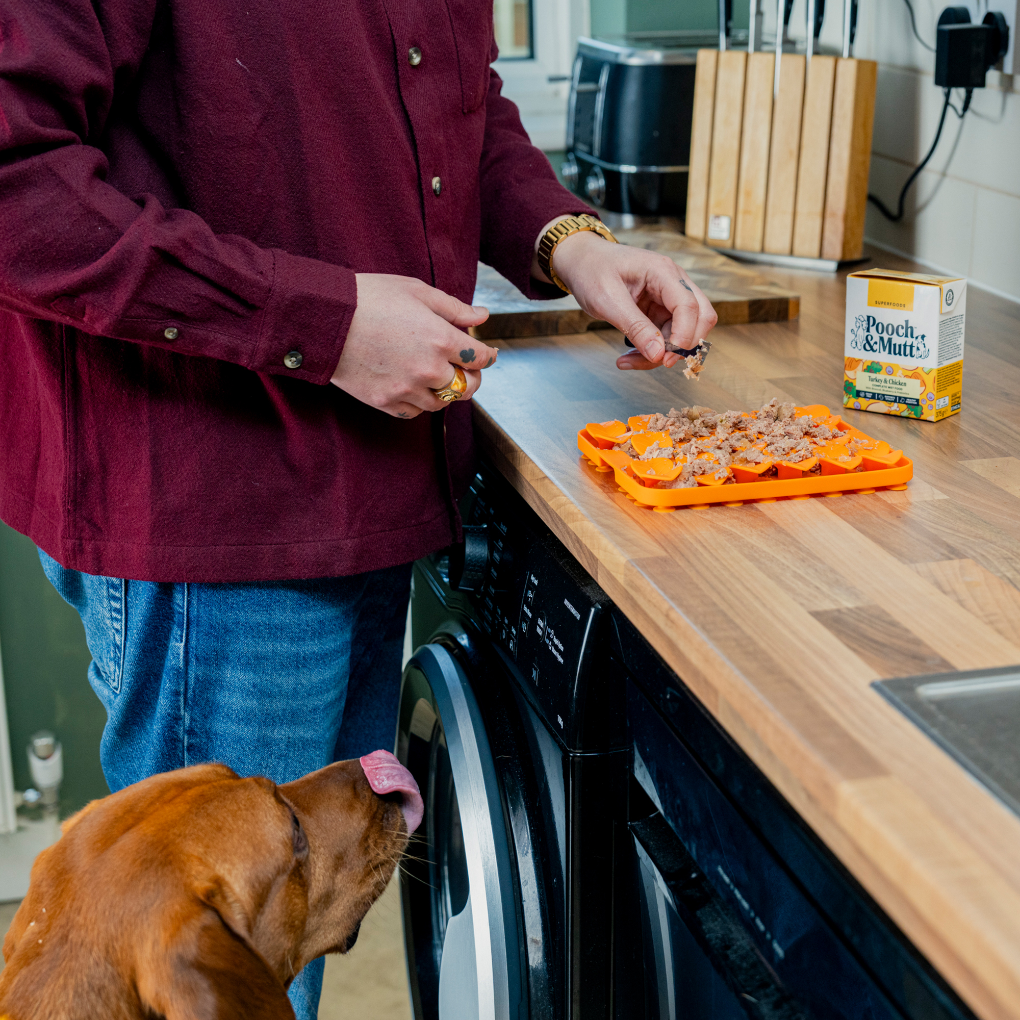 Turkey & Chicken Wet Food TETRA375TC 1 lifestyle