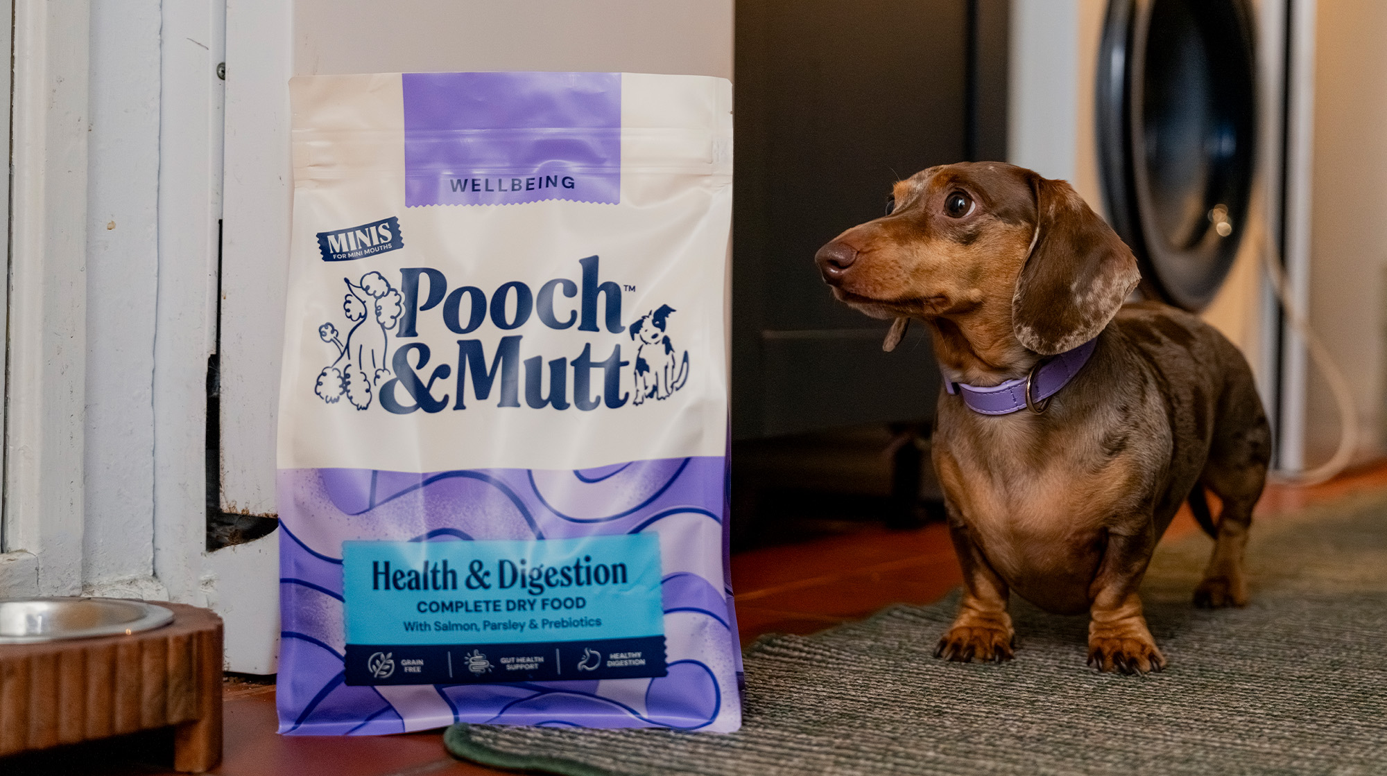 A Dachshund looking at a bag of Pooch & Mutt's Health & Digestion Dry Food.
