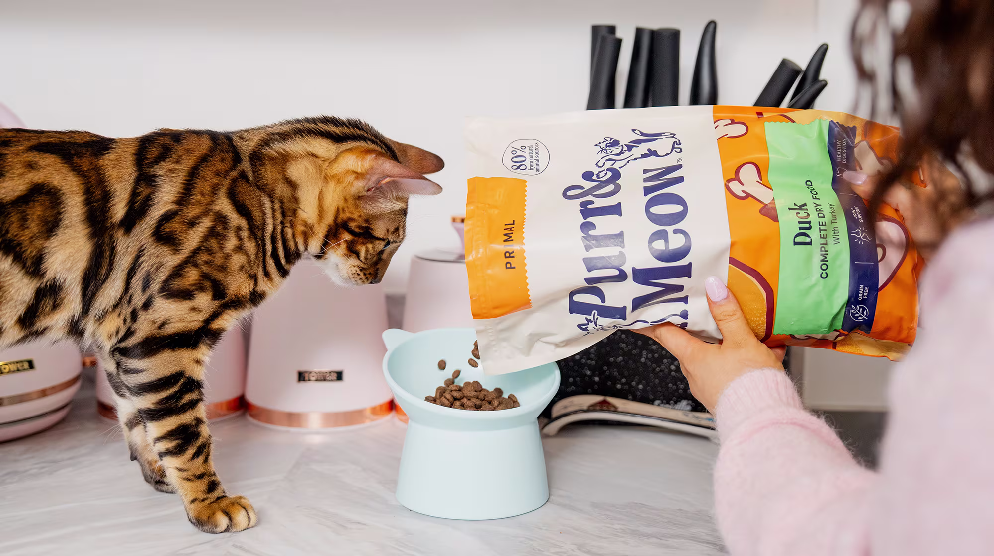 BLOG SWITCH A CAT TO NEW FOOD HEADER