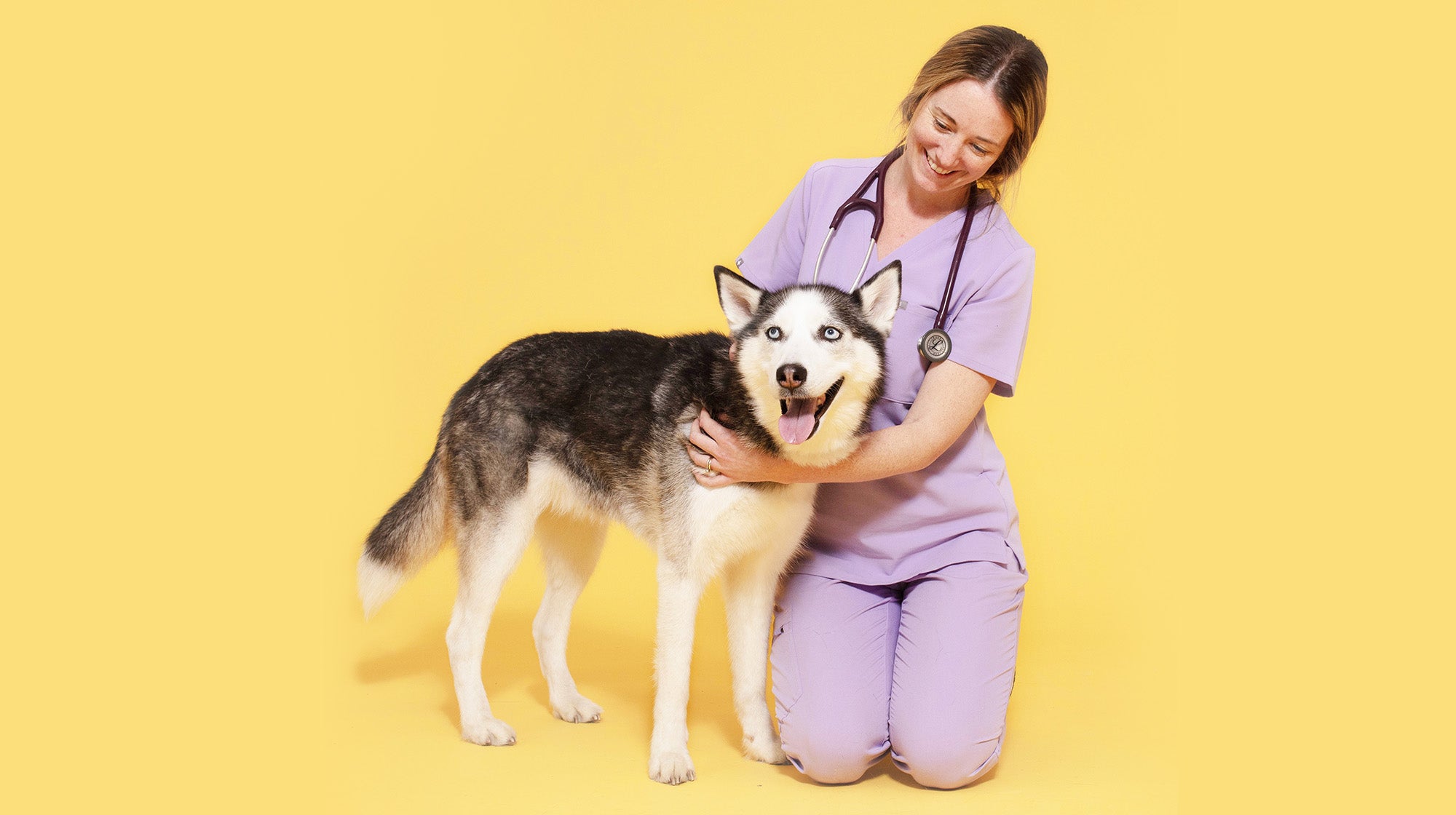 Signs you have a reactive dog-Image 2