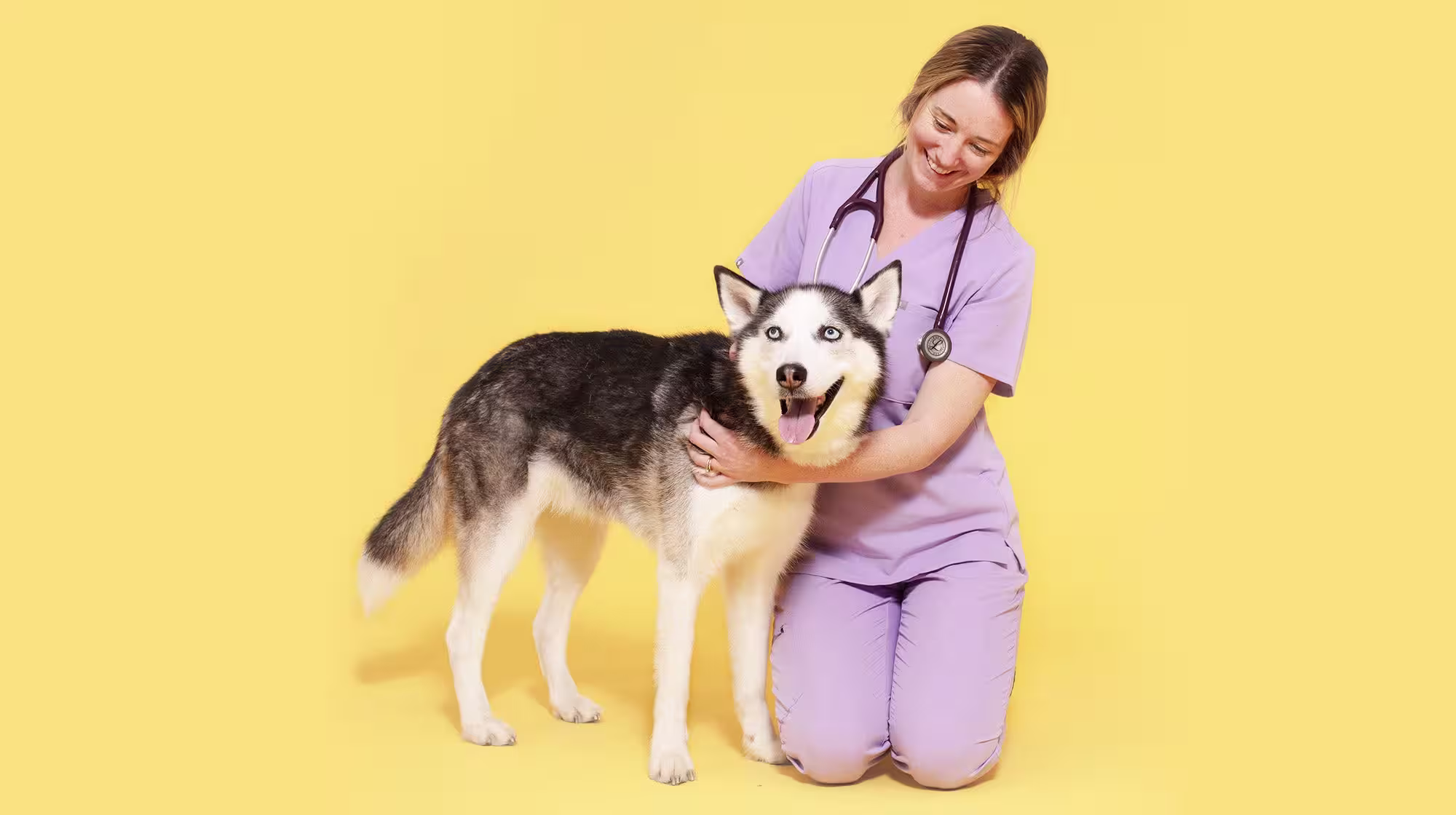 Signs you have a reactive dog-Image 2