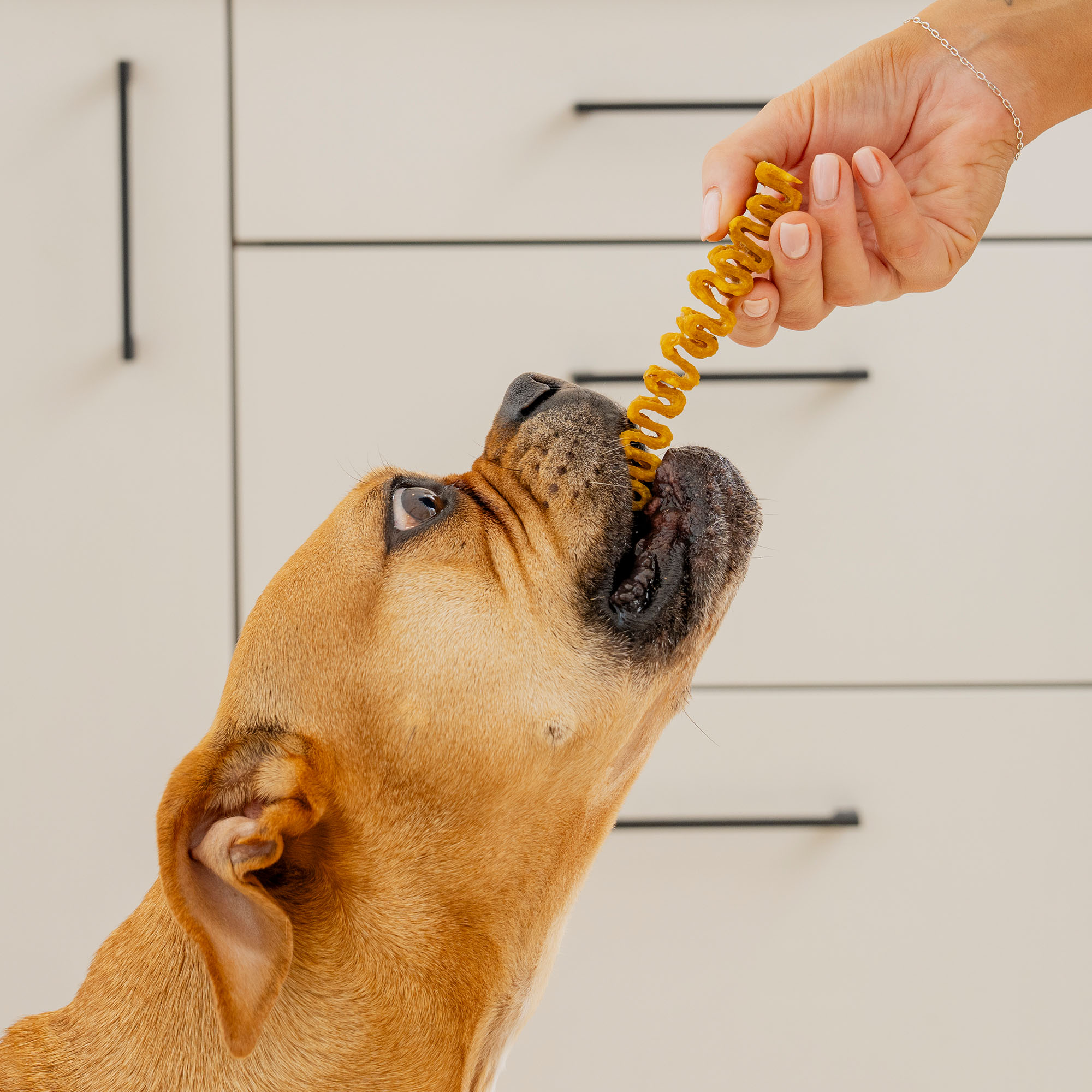 PRIMAL COLLAGEN CHEWS BEEF 45g CHEW45PRIMAL Lifestyle 2