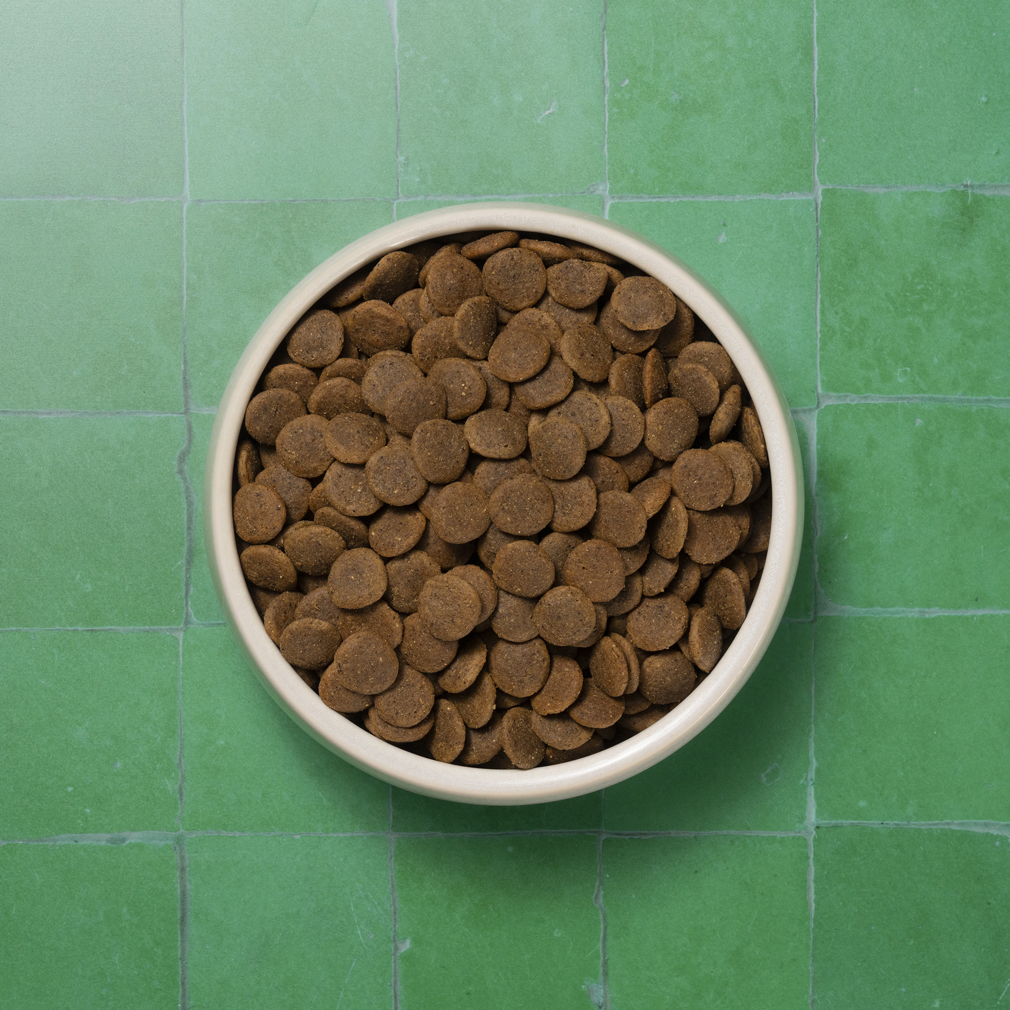 Single Protein Fresh Chicken Dry Food Bowl