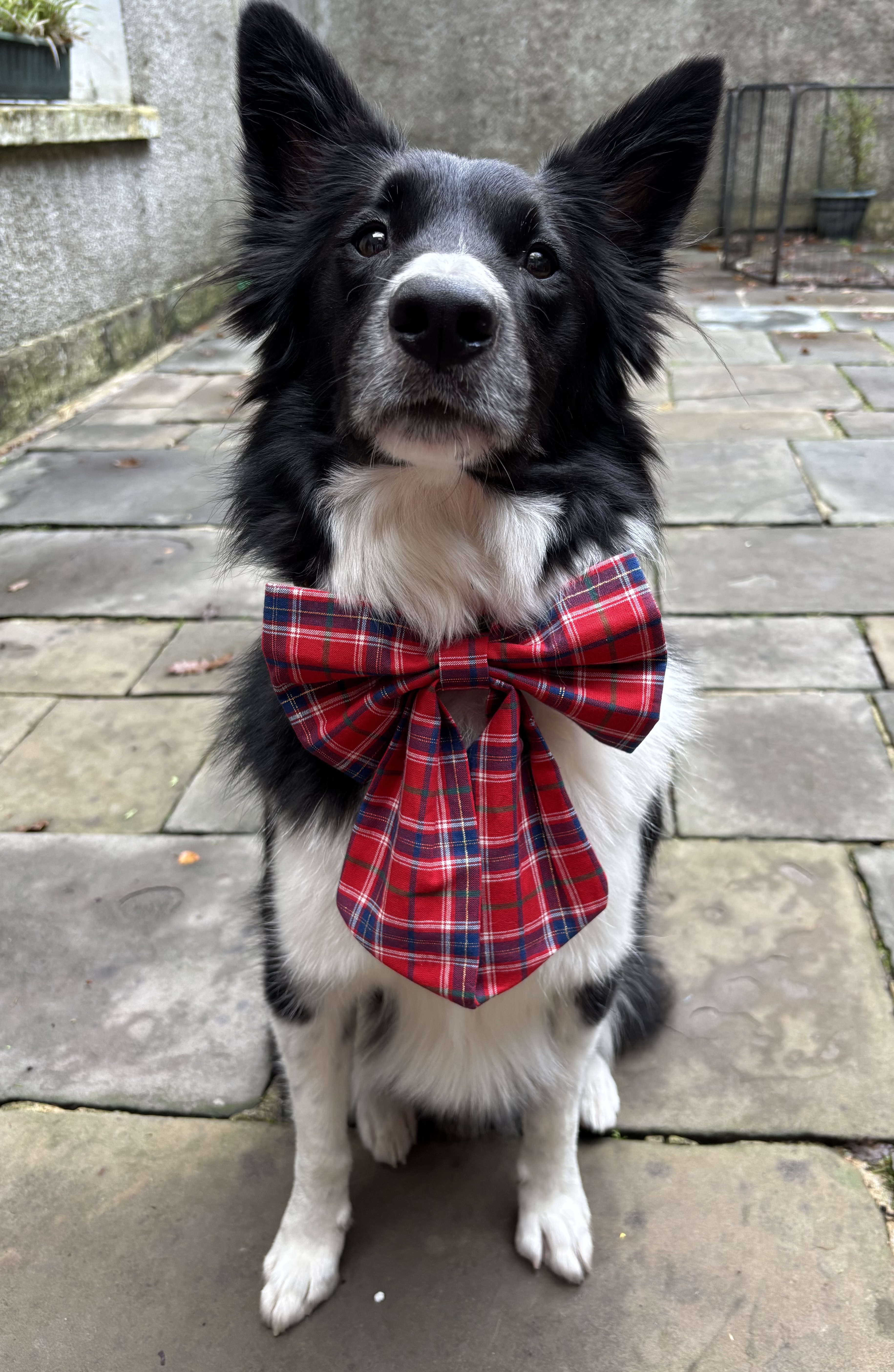 IMG 8458 - Abie Karklins