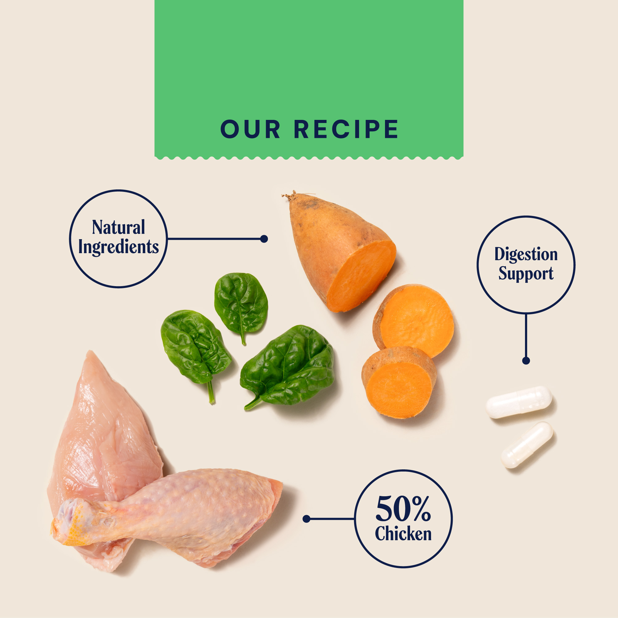 P&M INGREDIENT IMAGE FRESH SALMON