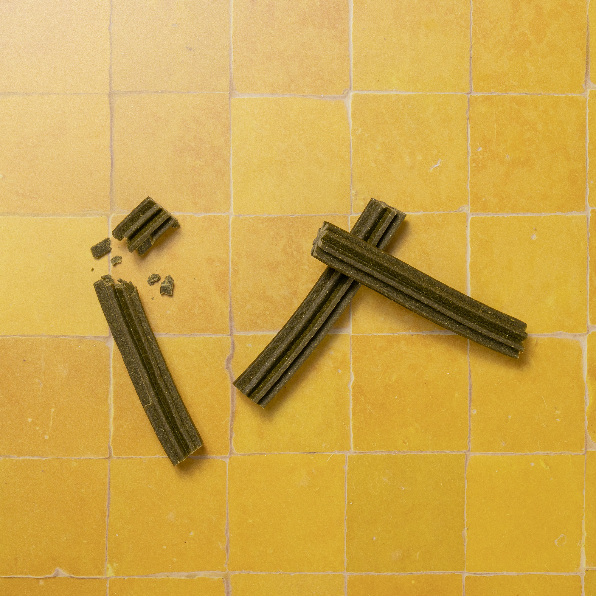 Superfood Dental Sticks For Dogs Regular