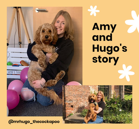 How dogs and mental wellbeing are linked-Image 3