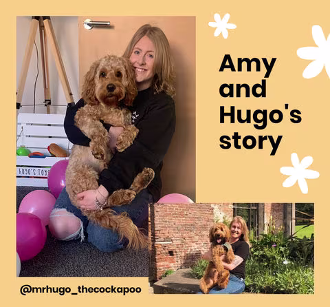 How dogs and mental wellbeing are linked-Image 3