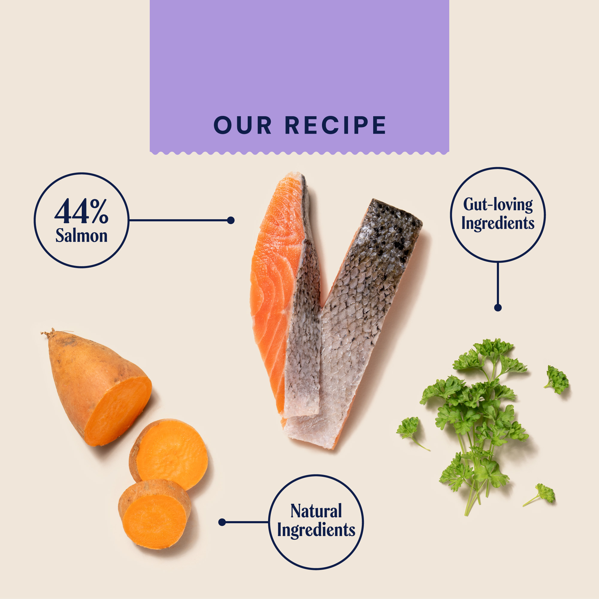 P&M INGREDIENT IMAGE WELLBEING HEALTH & DIGESTION