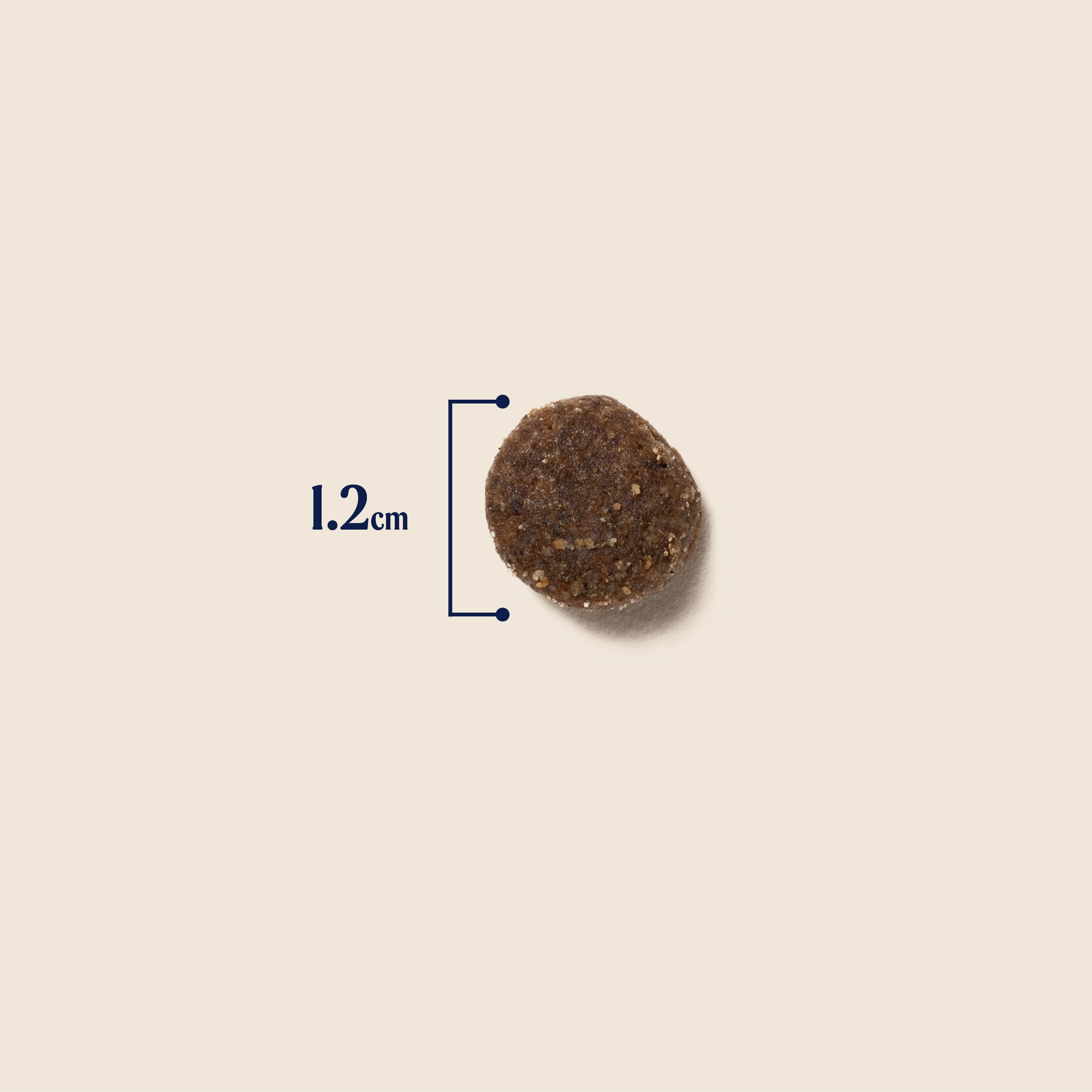 P&M SIZE DRY-FOOD WELLBEING JOINT-&-MOBILITY