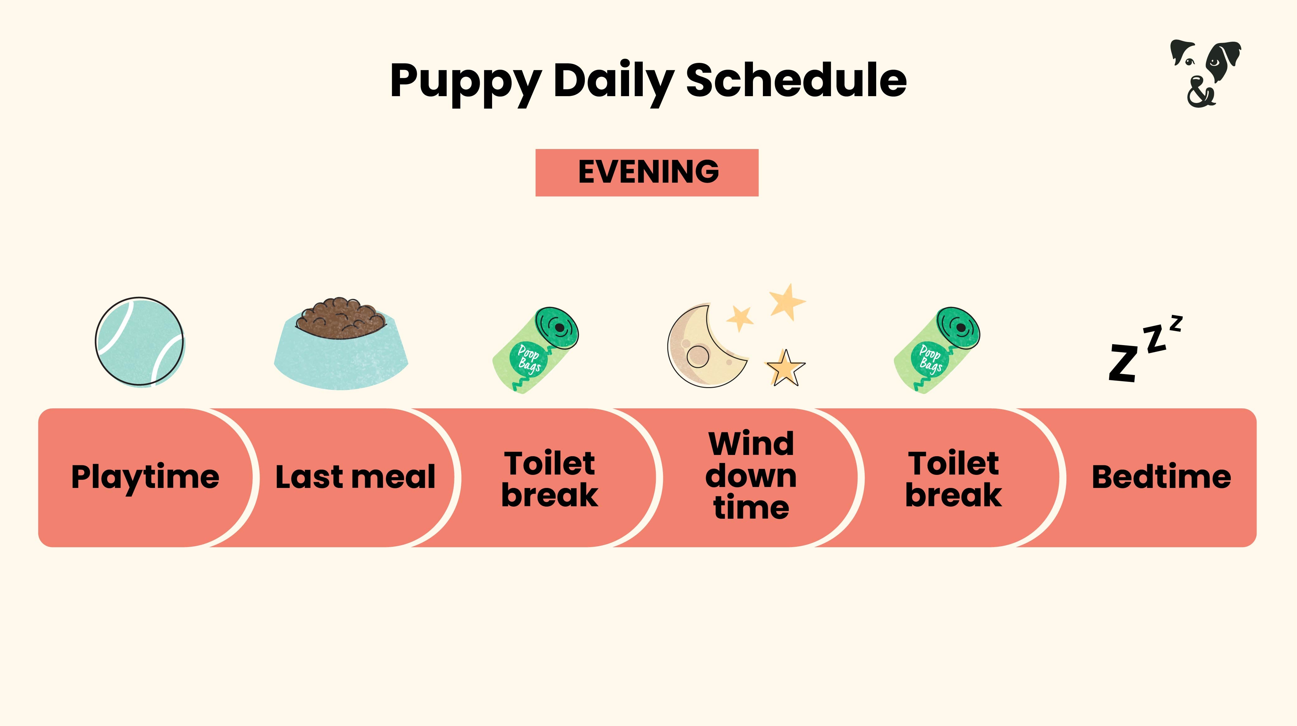 The Puppy Feeding Guide-Image 6