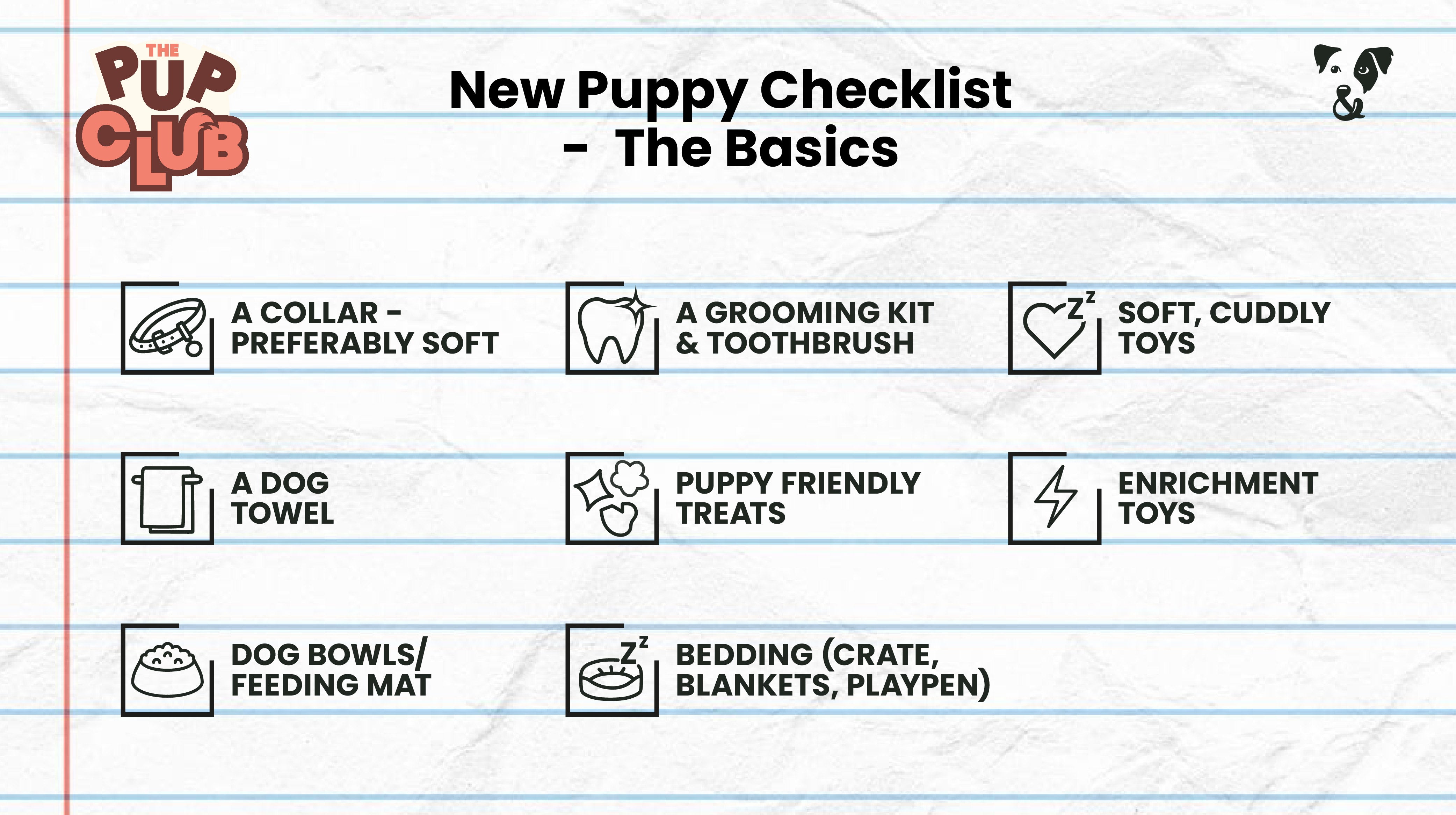 New Puppy Checklist: Essential advice from a vet-Image 2