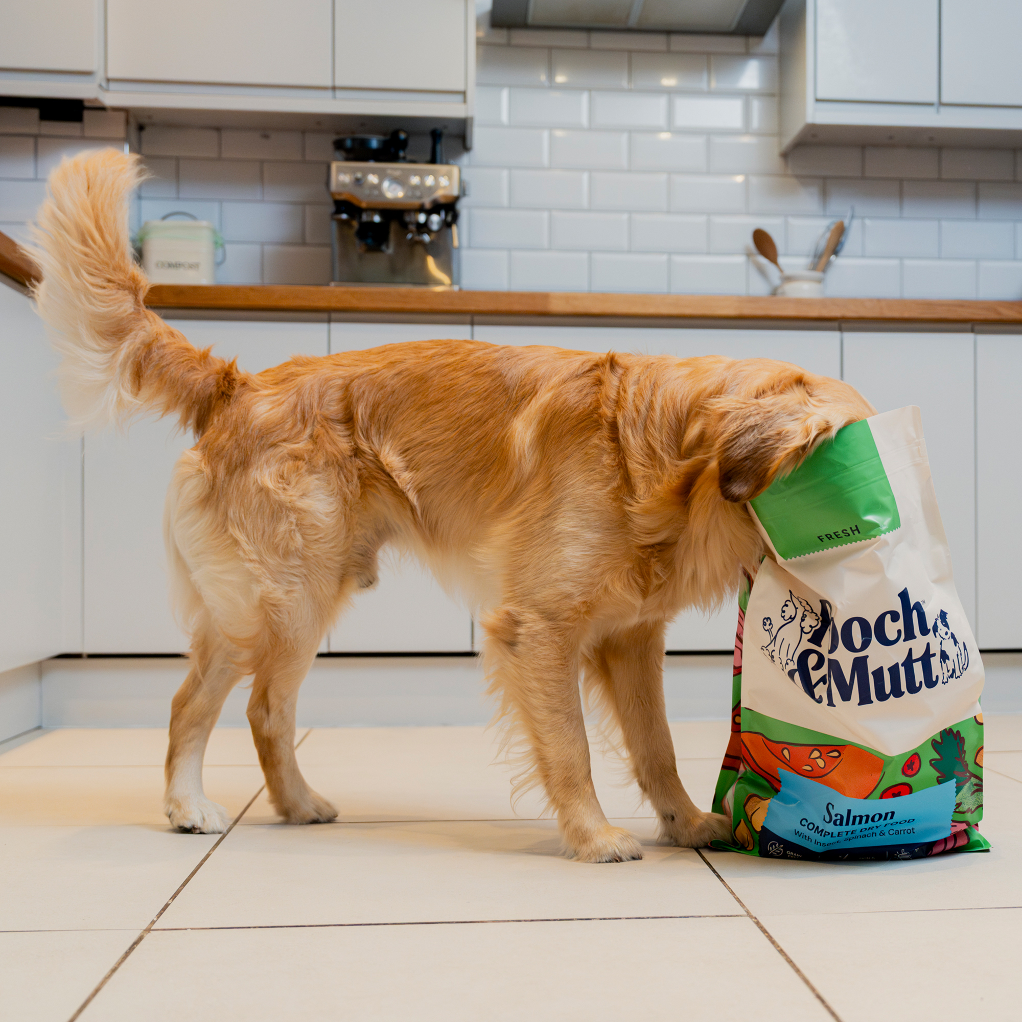 Single Protein Fresh Salmon Dry Food FRESH1.5SALMON 1 lifestyle