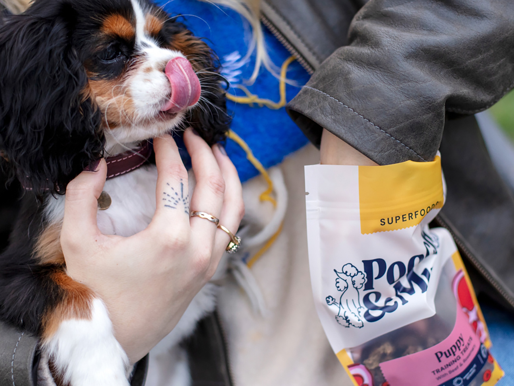 puppy training landing page secondary