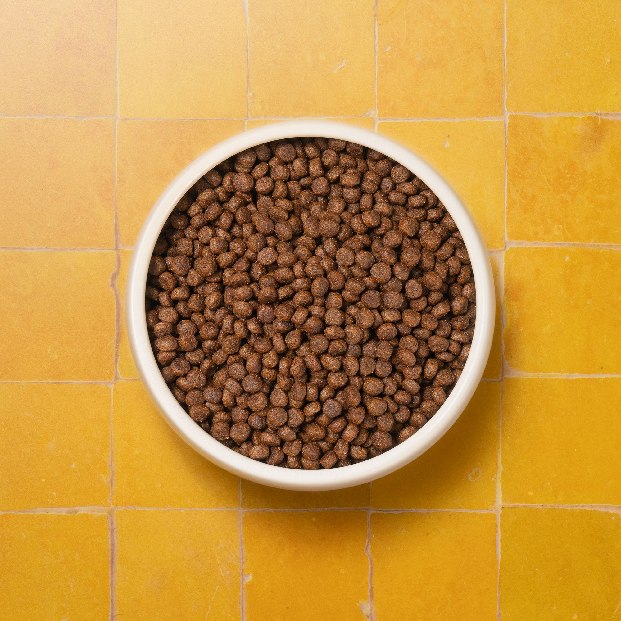 P&M CAT ADULT DRY FOOD 72dpi