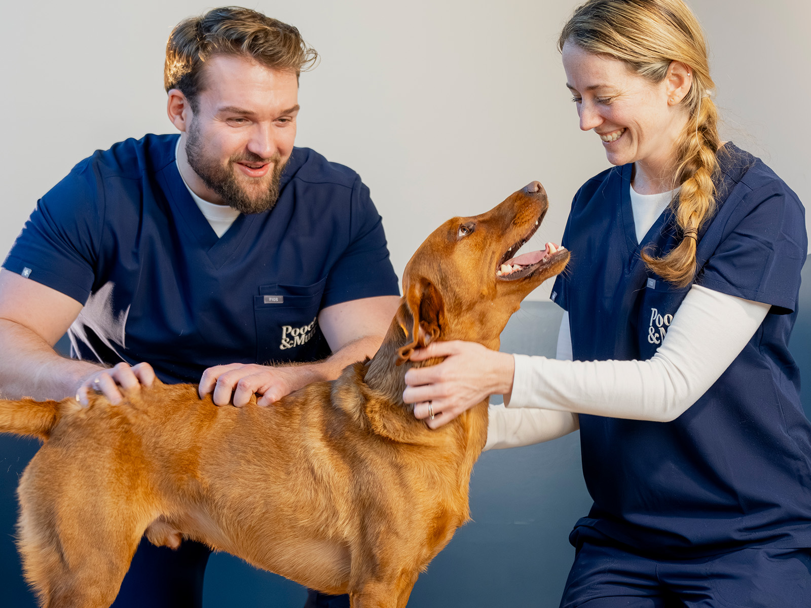 P&M WEBSITE VET BANNERS GENERAL