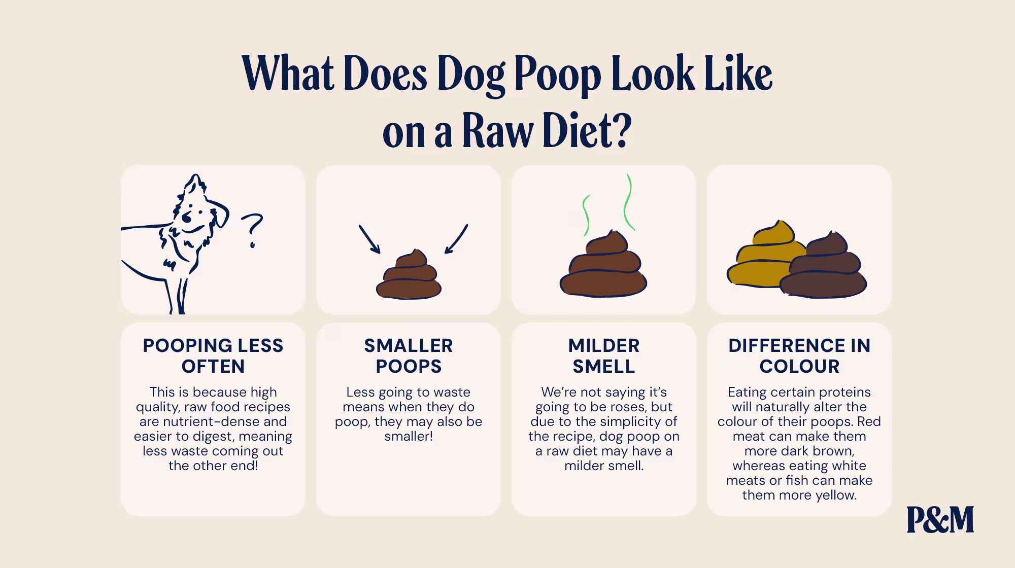 P&M BLOG RAW & FRESH INFOGRAPHIC WHAT DOES DOG POOP LOOK LIKE ON A RAW DIET