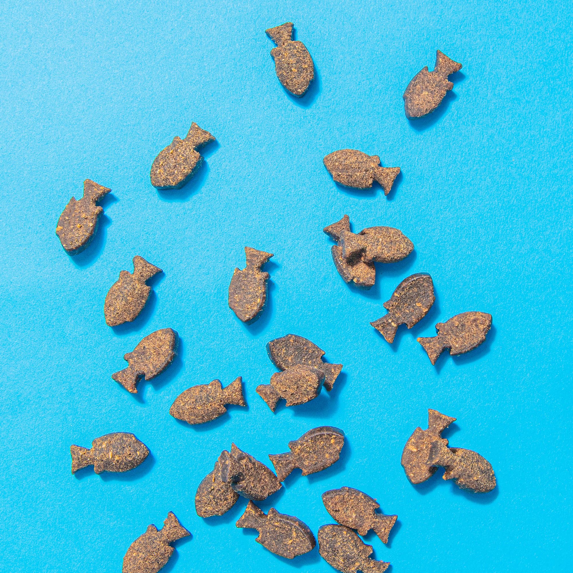 HEALTH AND DIGESTION MEATYTREATS 7