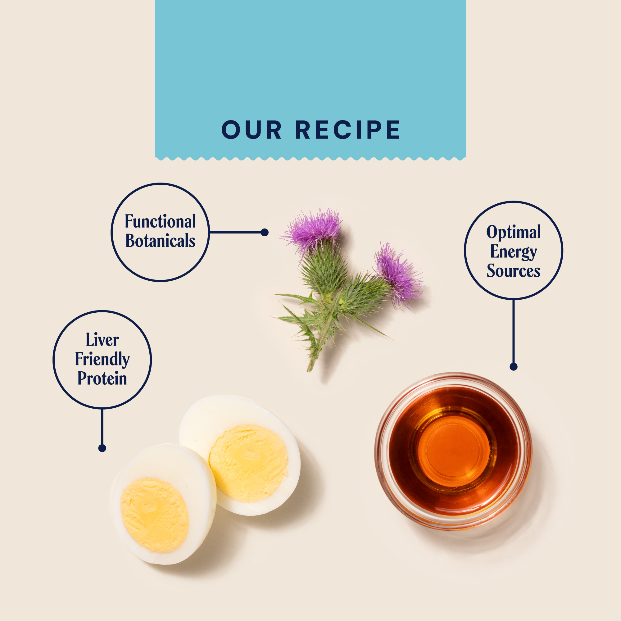 P&M INGREDIENT-IMAGE VET HEAPTIC