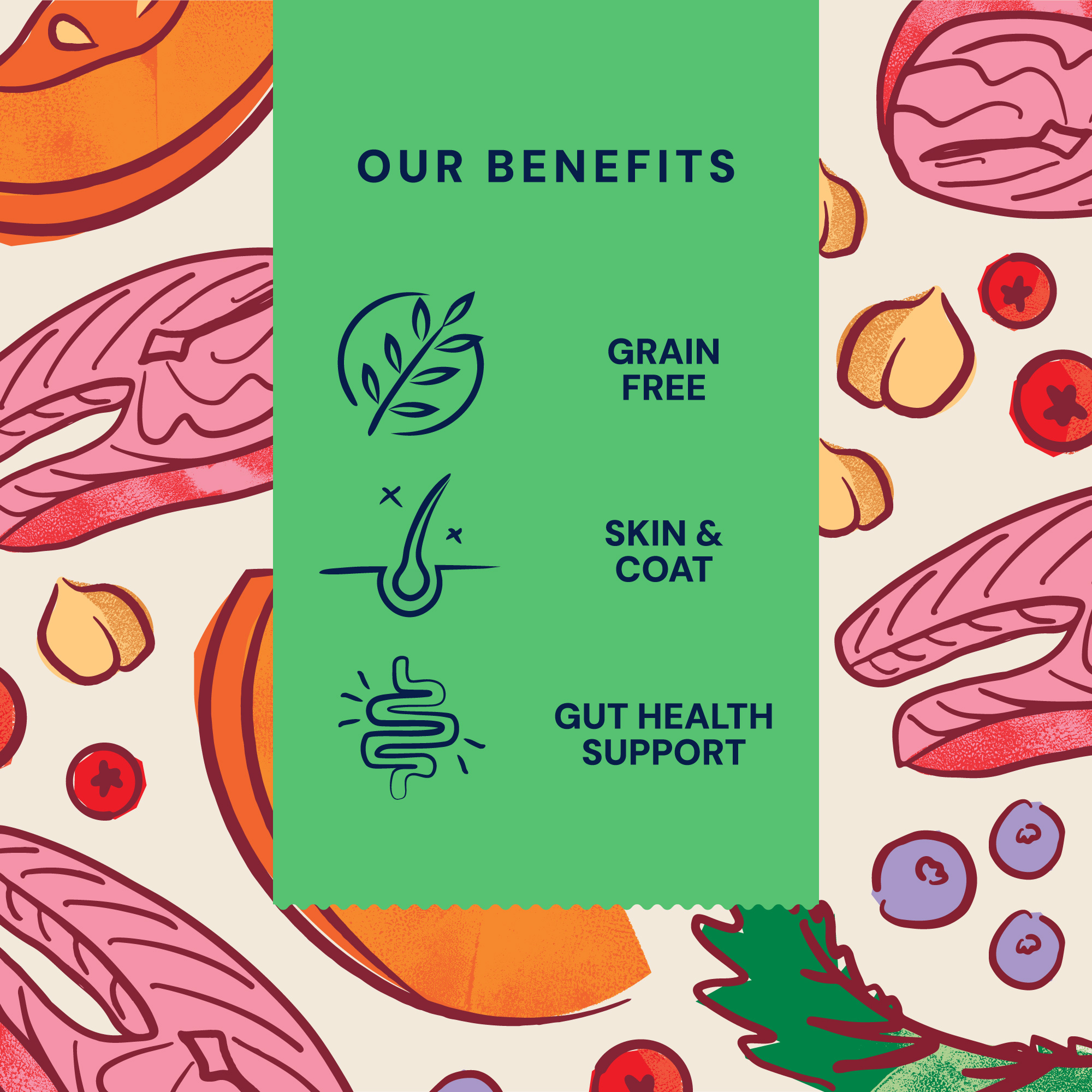 Single Protein Fresh Salmon Dry Food Benefits