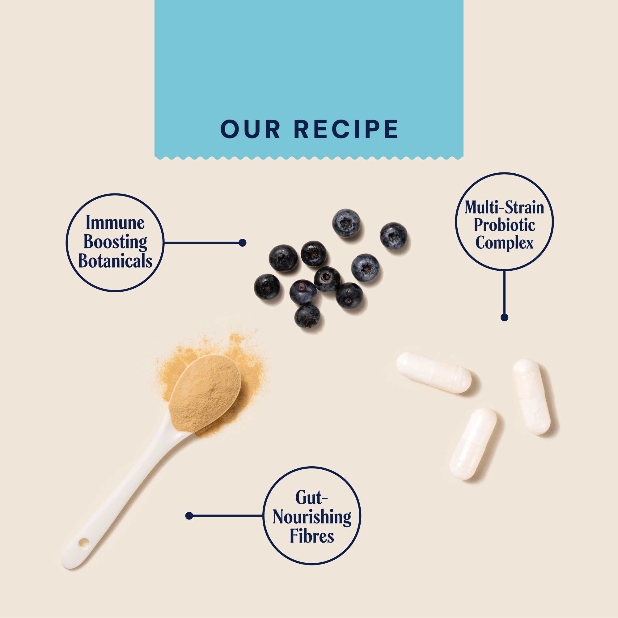 Immunity Support Supplement GHSUP90IMMUN 1 recipecard