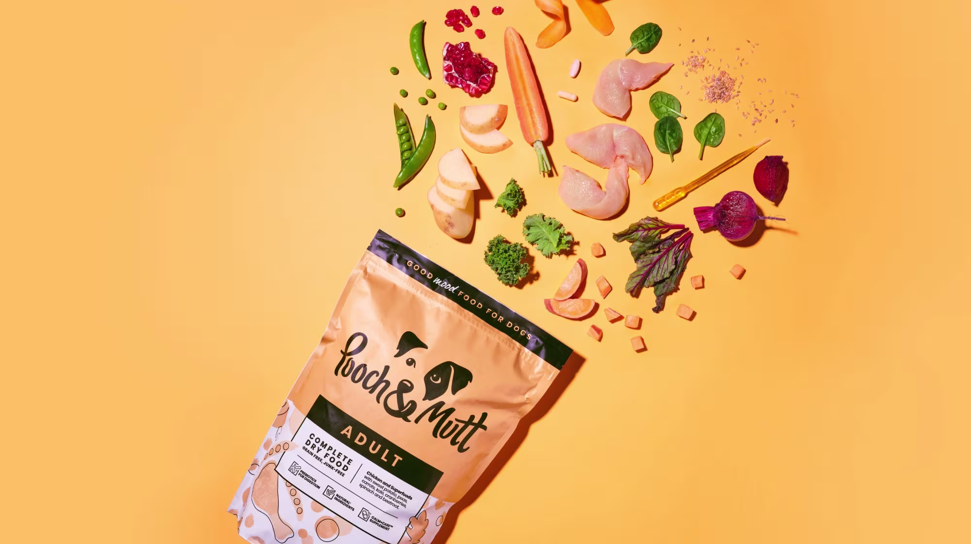 superfood for dogs