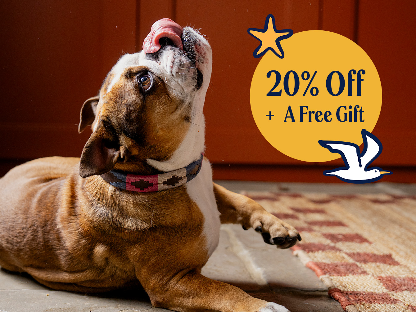 WEBSITE P7 SALE HOMEPAGE IMAGE 1 FREE GIFT