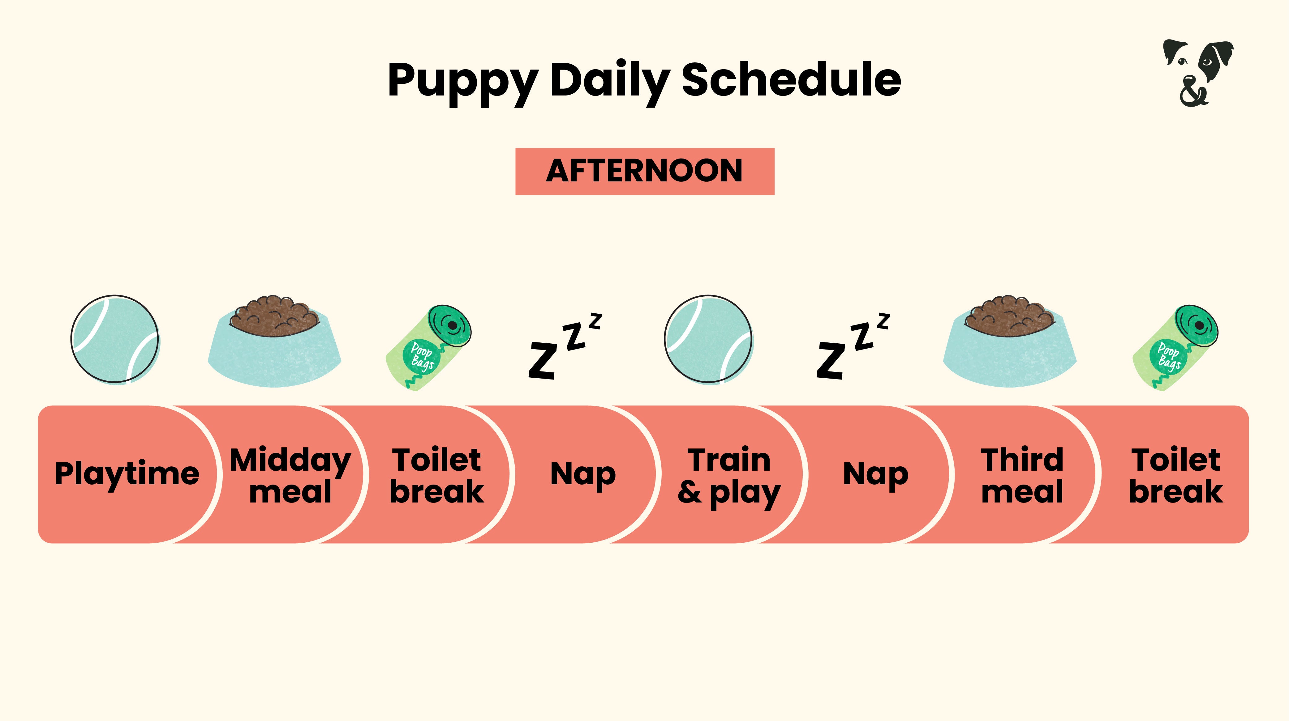 The Puppy Feeding Guide-Image 5