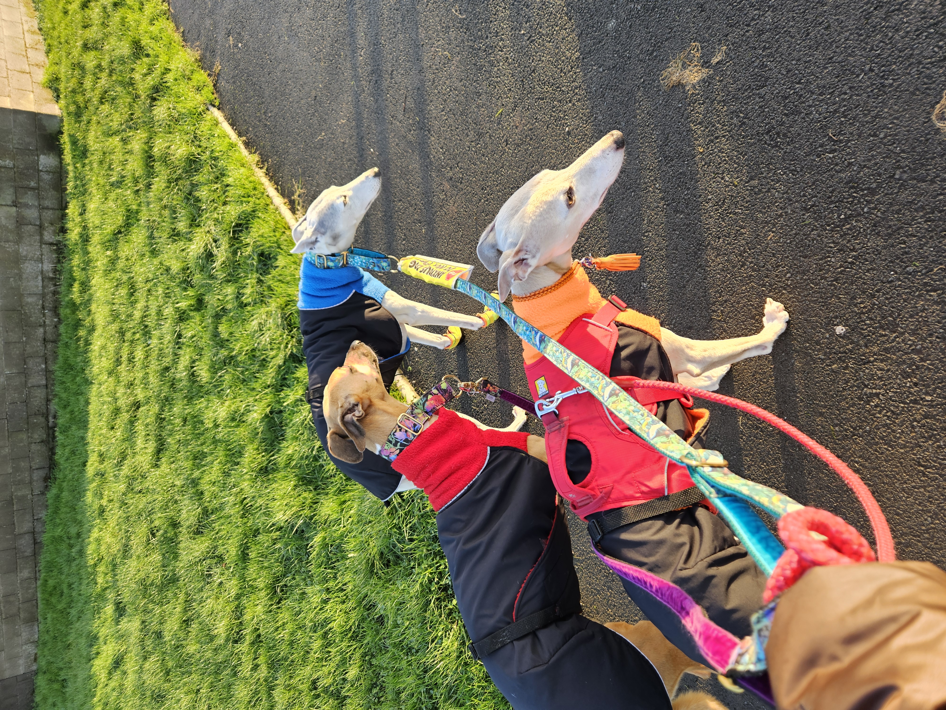 20251202 145409 - Lesley Elder