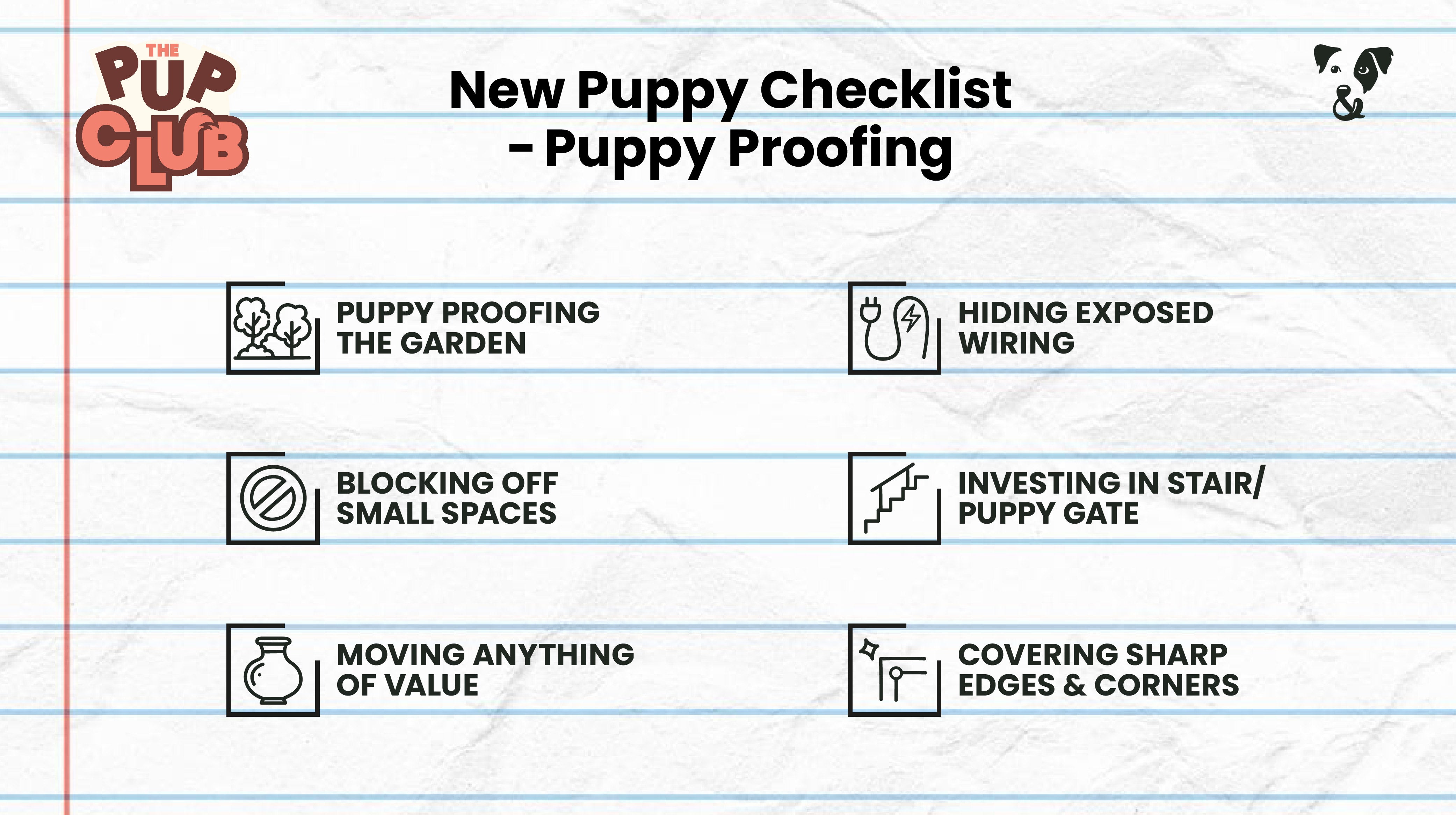 New Puppy Checklist: Essential advice from a vet-Image 1