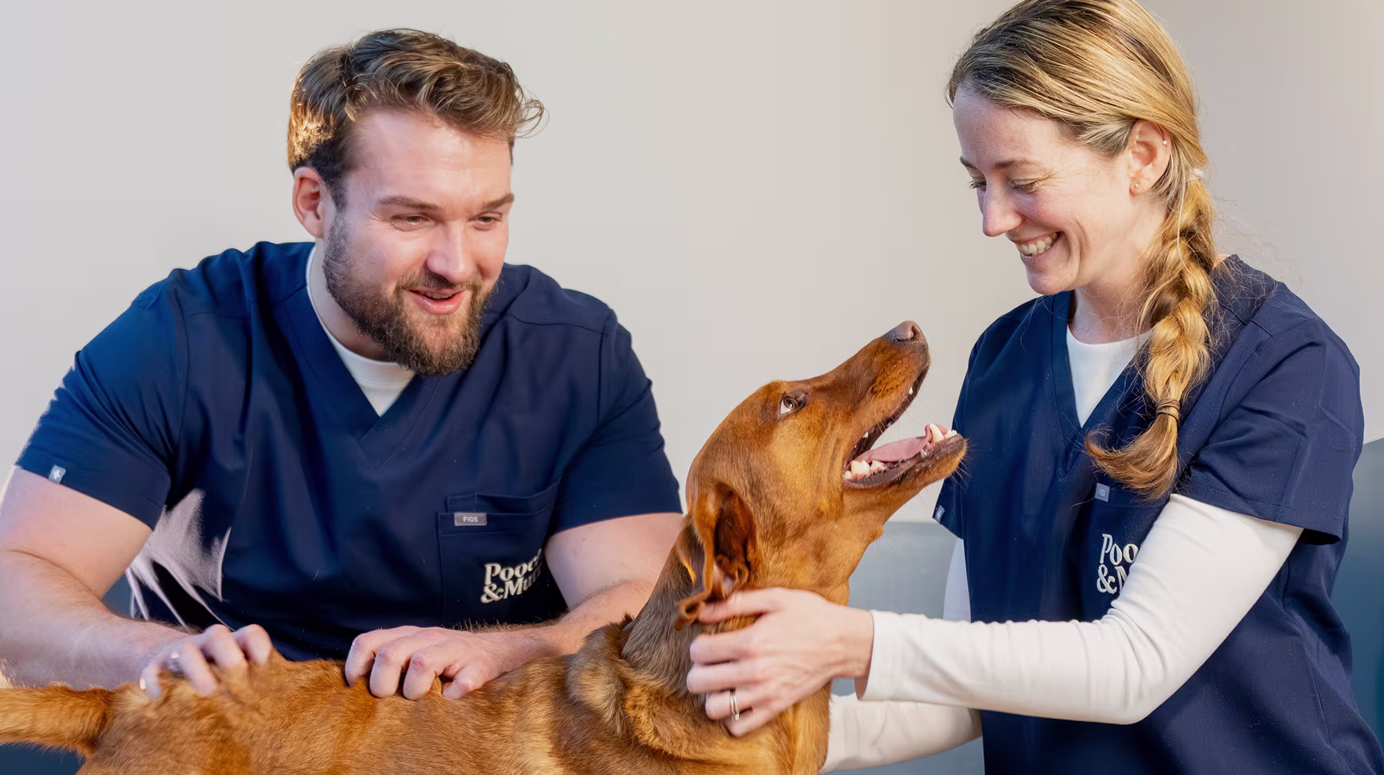 BLOG GUT HEALTH VETS