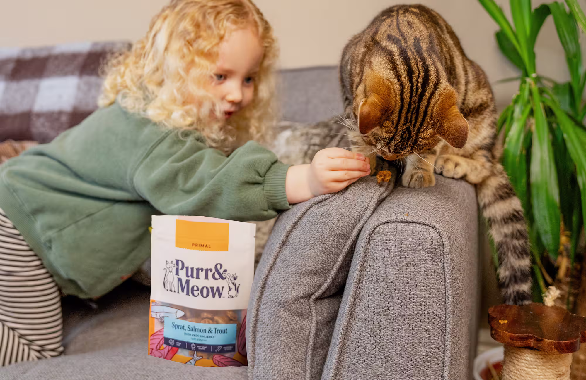 P&M WEB CAT COLLECTION BANNER TREATS