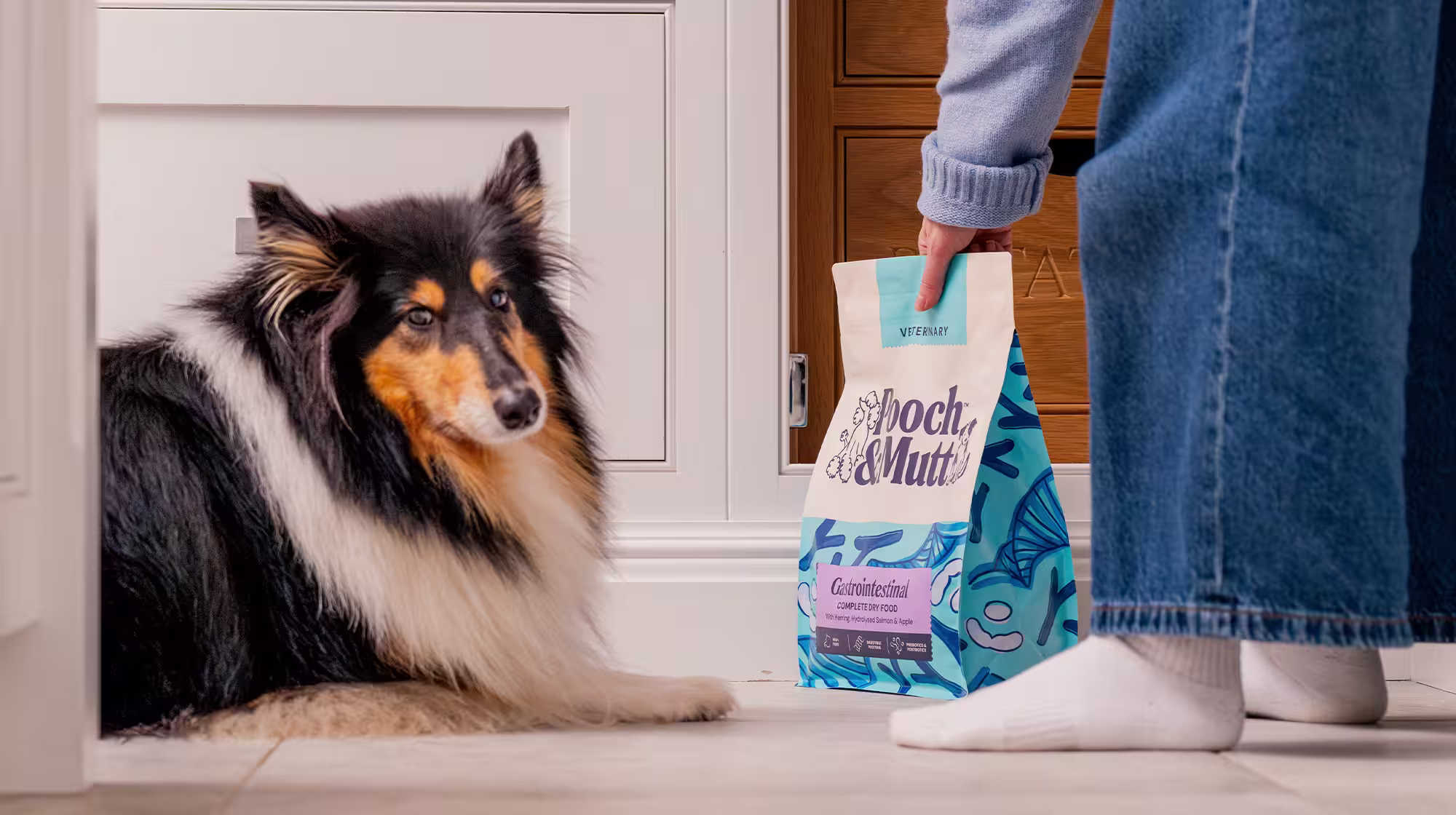 A fluffy dog lying down as their owner holds a bag of Pooch & Mutt's Gastrointestinal Dry Food from their Veterinary range.